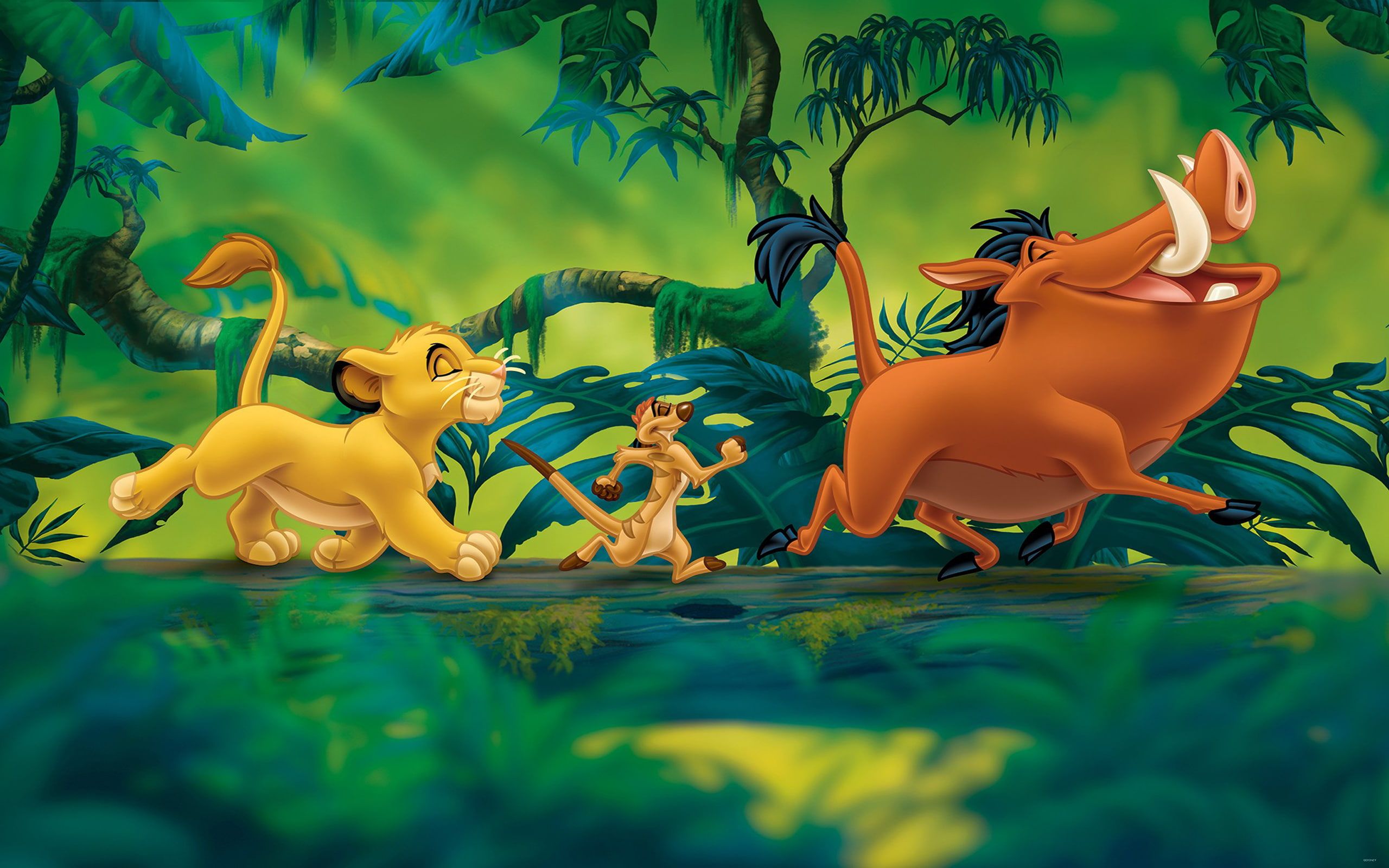 Simba Timon Pumbaa Re Leone, 2560x1600 2K, Laptop