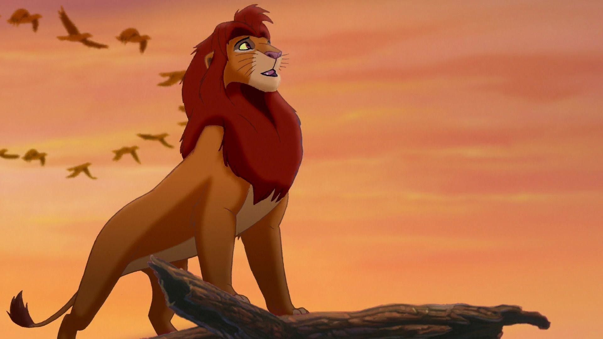 Simba Il Re Leone, 1920x1080 Full HD 1080p, PC