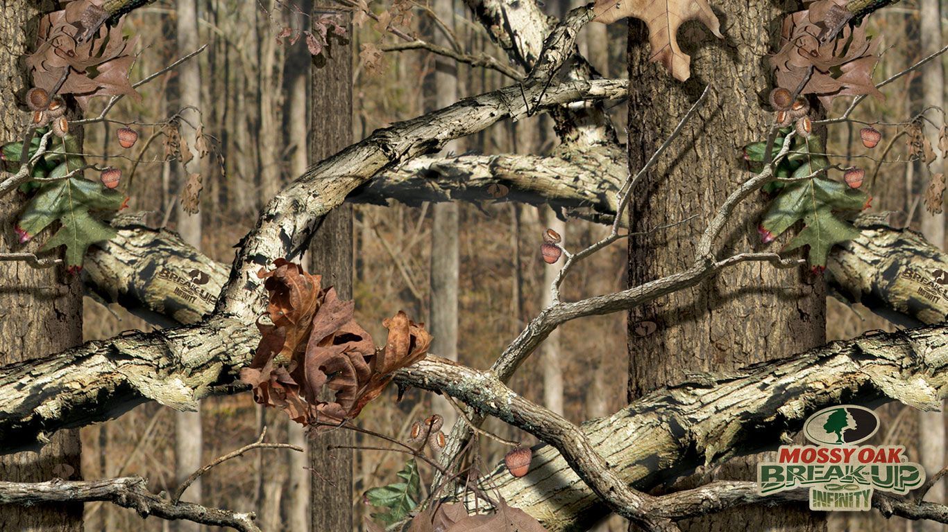 Mimetico Realtree rami mimetici, 1366x768 HD, PC Desktop
