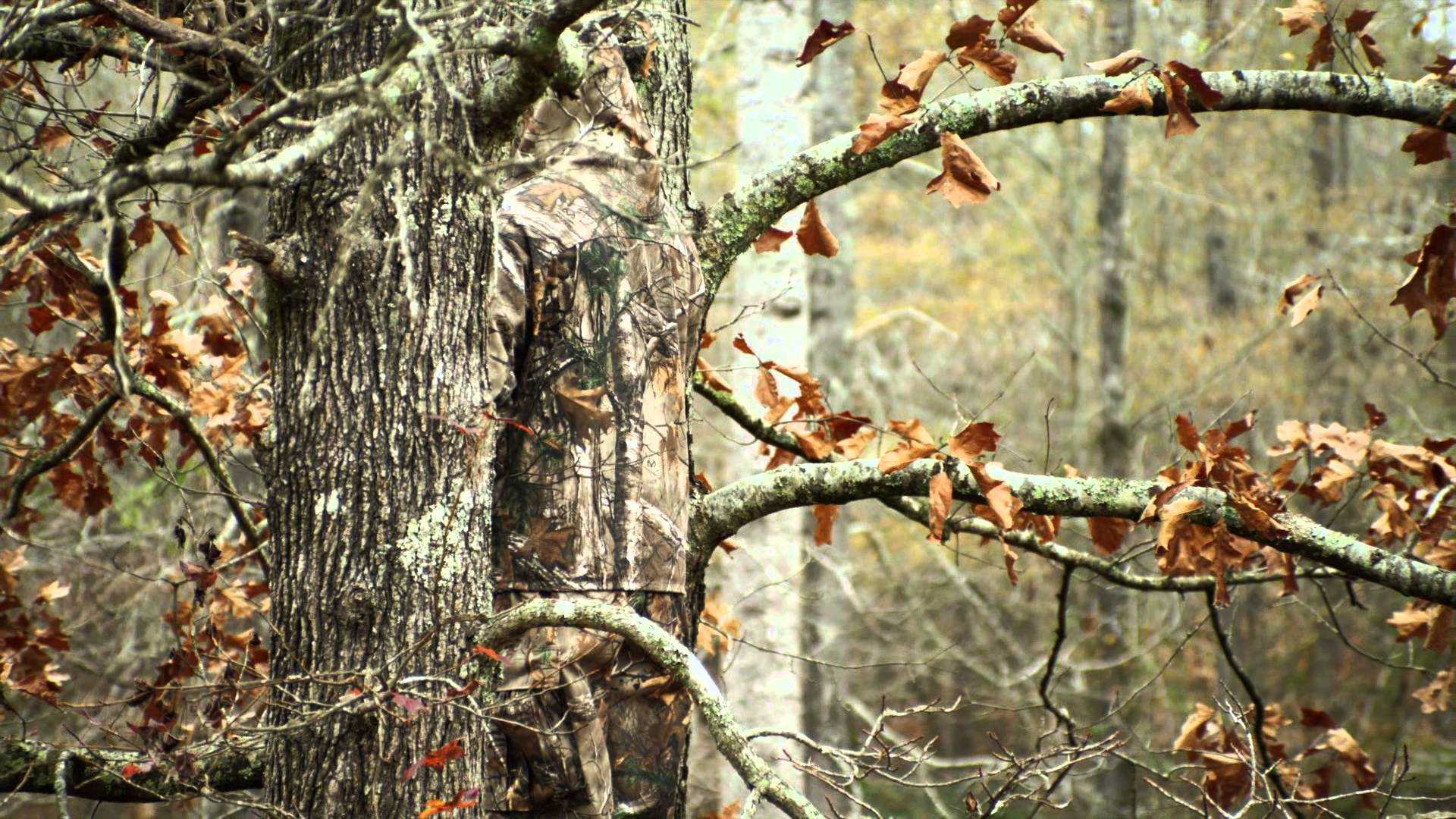 Mimetica Realtree su albero, 1920x1080 Full HD, Desktop