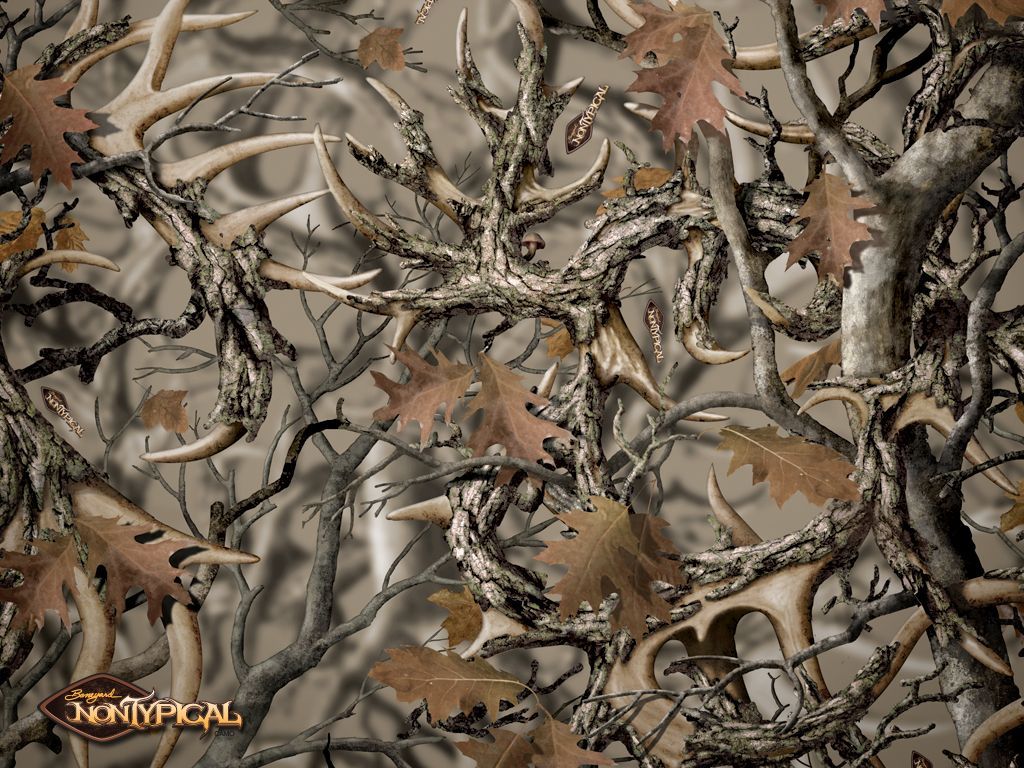 Mimetica Realtree corna e foglie, 1024x768 HD, Laptop