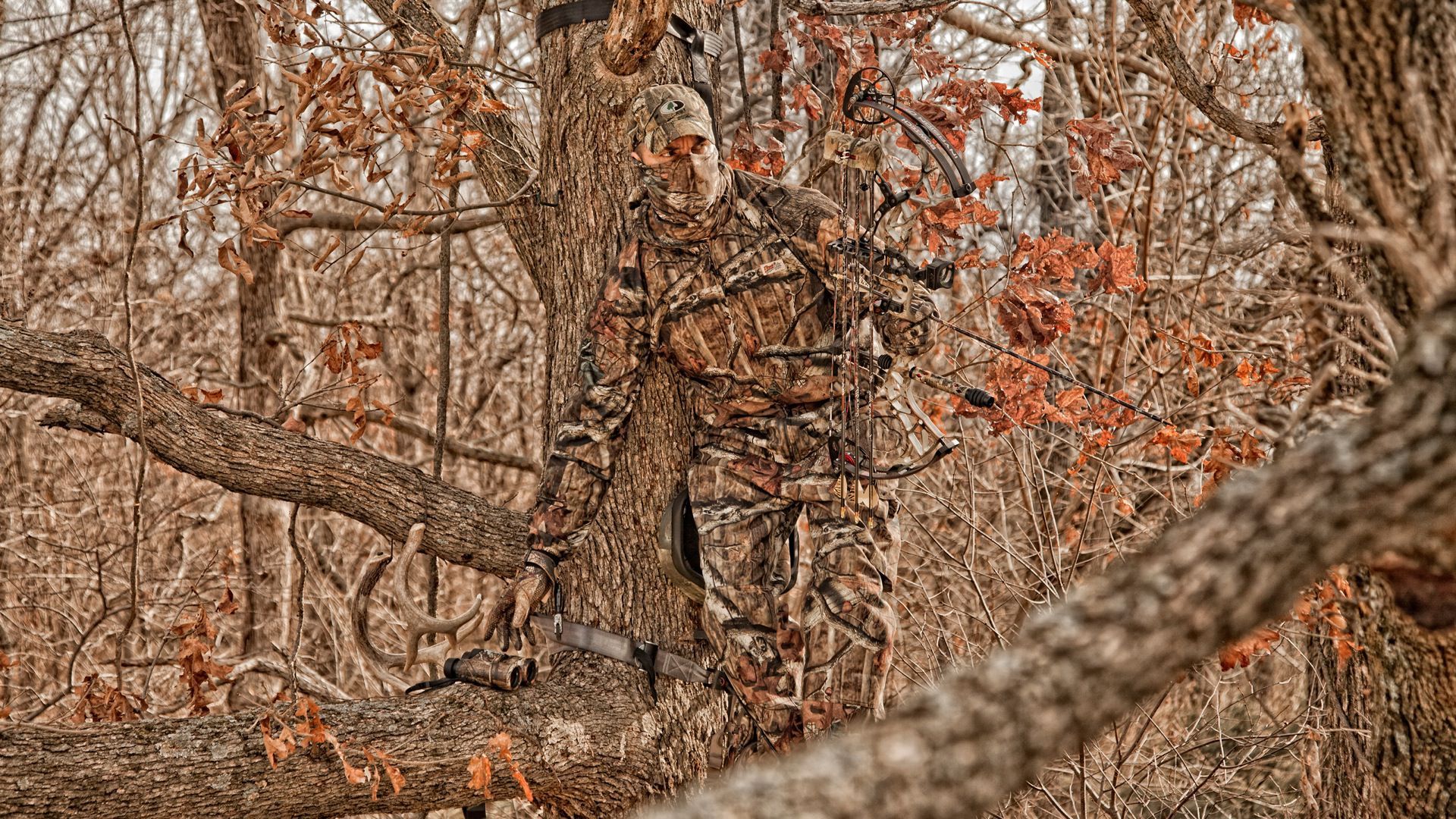 Cacciatore mimetico Realtree bosco, 1920x1080 1080p, Desktop
