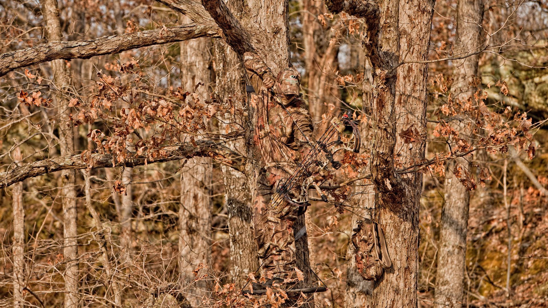 Mimetica camo alberi caccia, 1920x1080 Full HD 1080p, PC Desktop