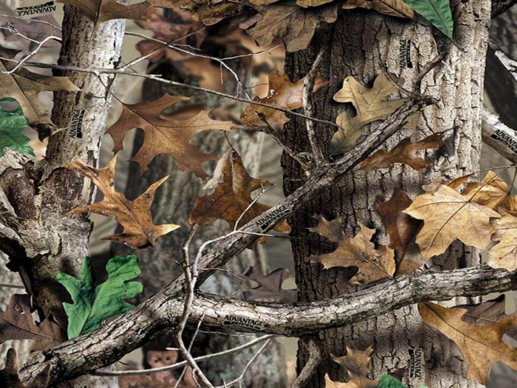 Mimetica Realtree foglie autunnali, 1024x768 HD, Desktop