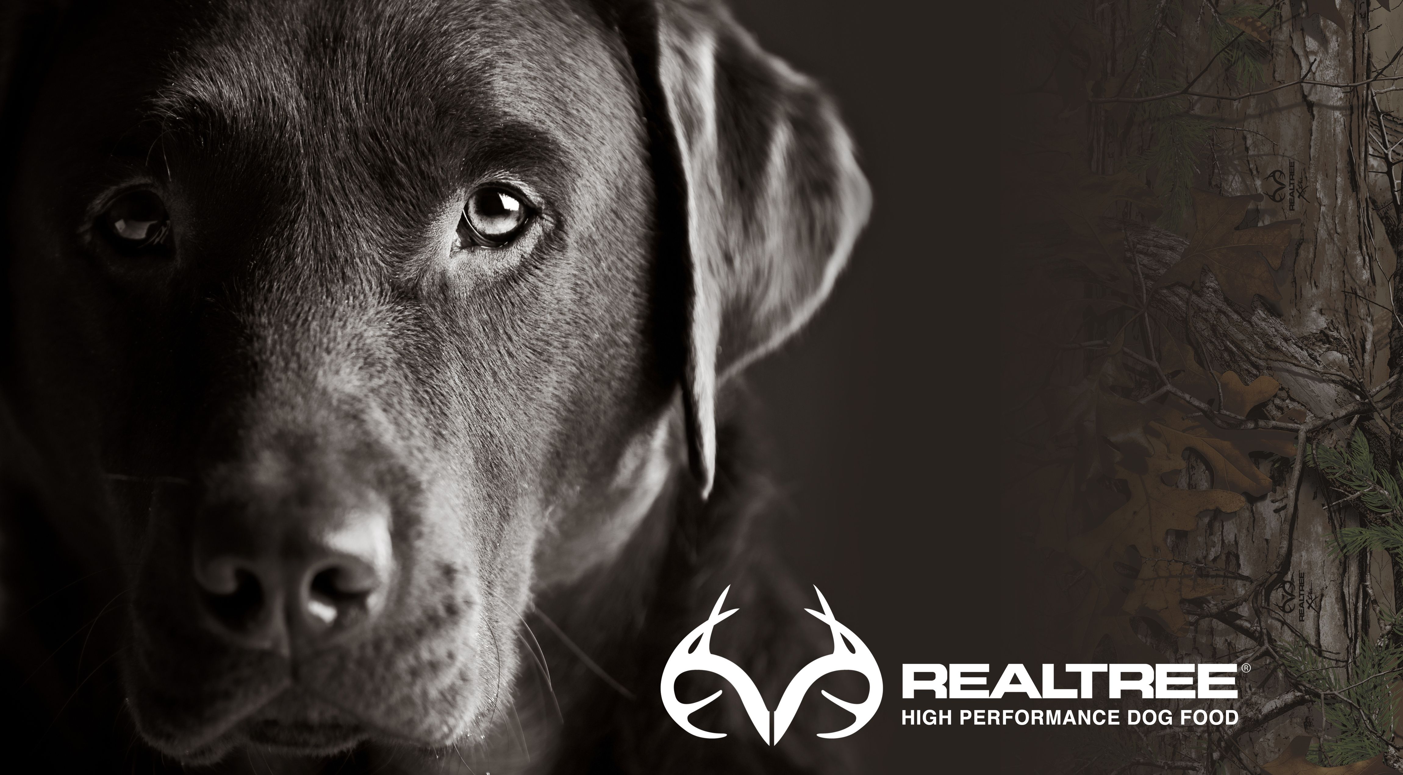 Cane Labrador logo Realtree, 4601x2541 UHD, Monitor 4K