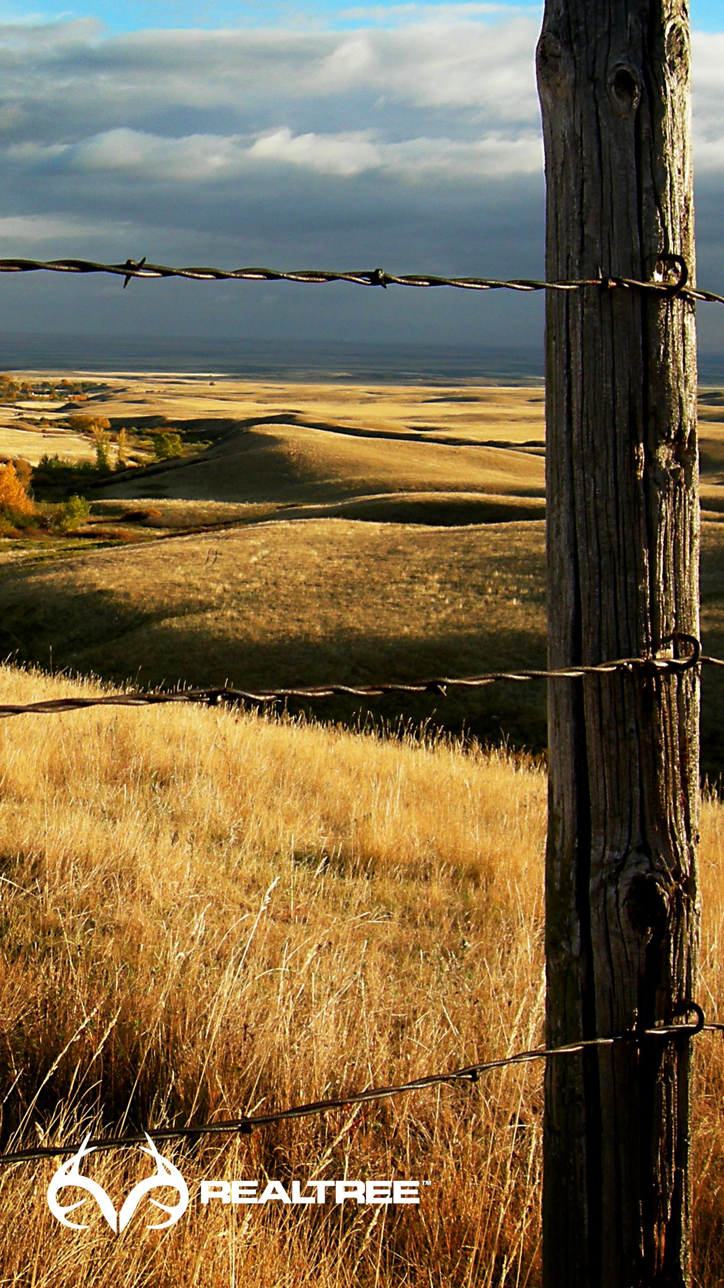 Recinto filo spinato collina, 1440x2560 Verticale, Mobile