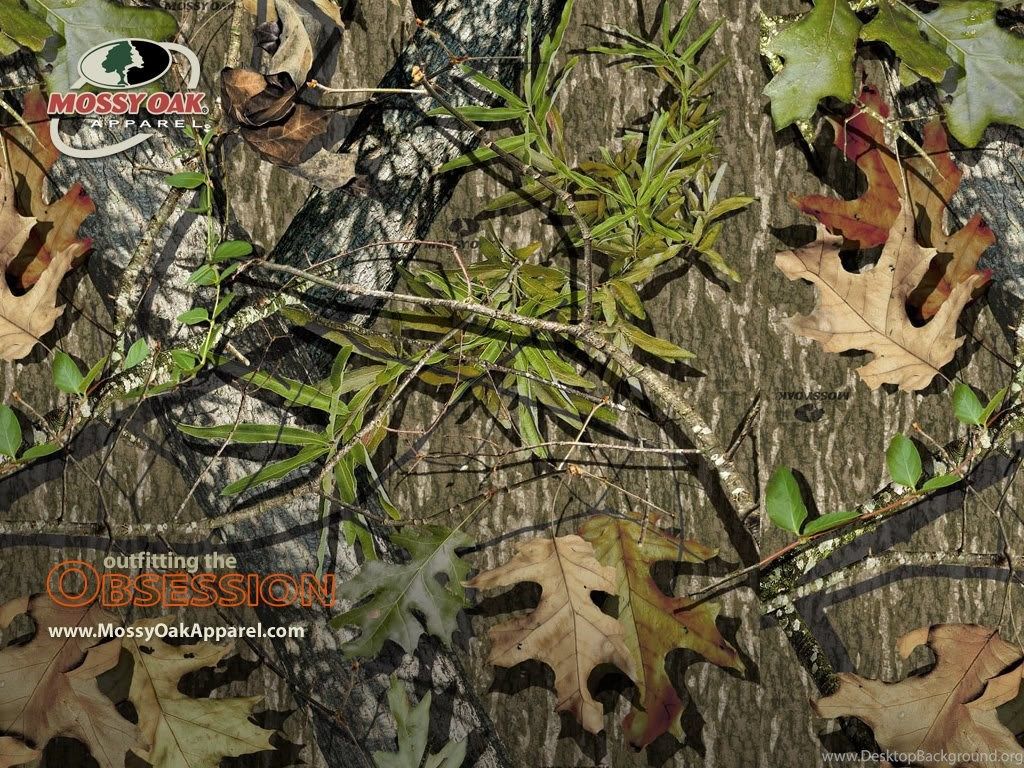 Mimetica Mossy Oak foglie, 1024x768 HD, PC Desktop