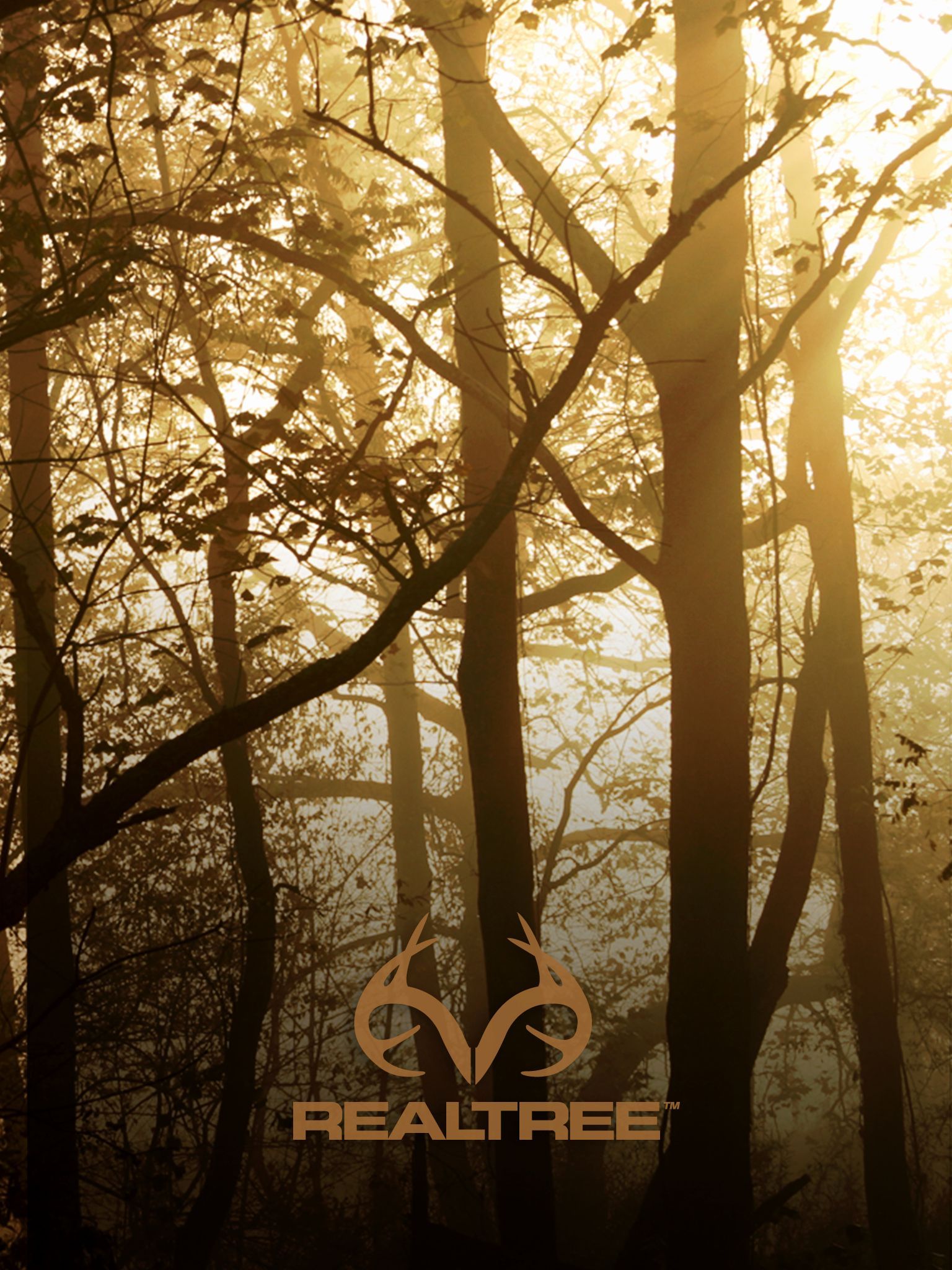 Foresta logo Realtree, 1536x2048 Full HD Verticale, iPhone