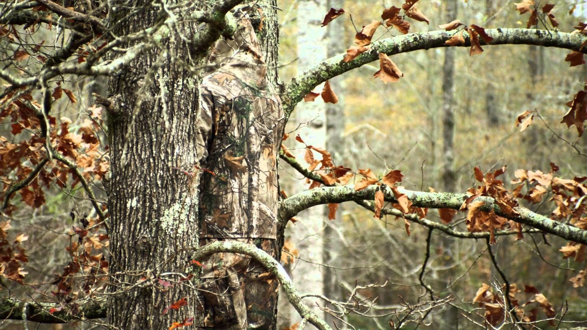 Motivo camouflage verde militare, 1920x1080 Full HD, Desktop