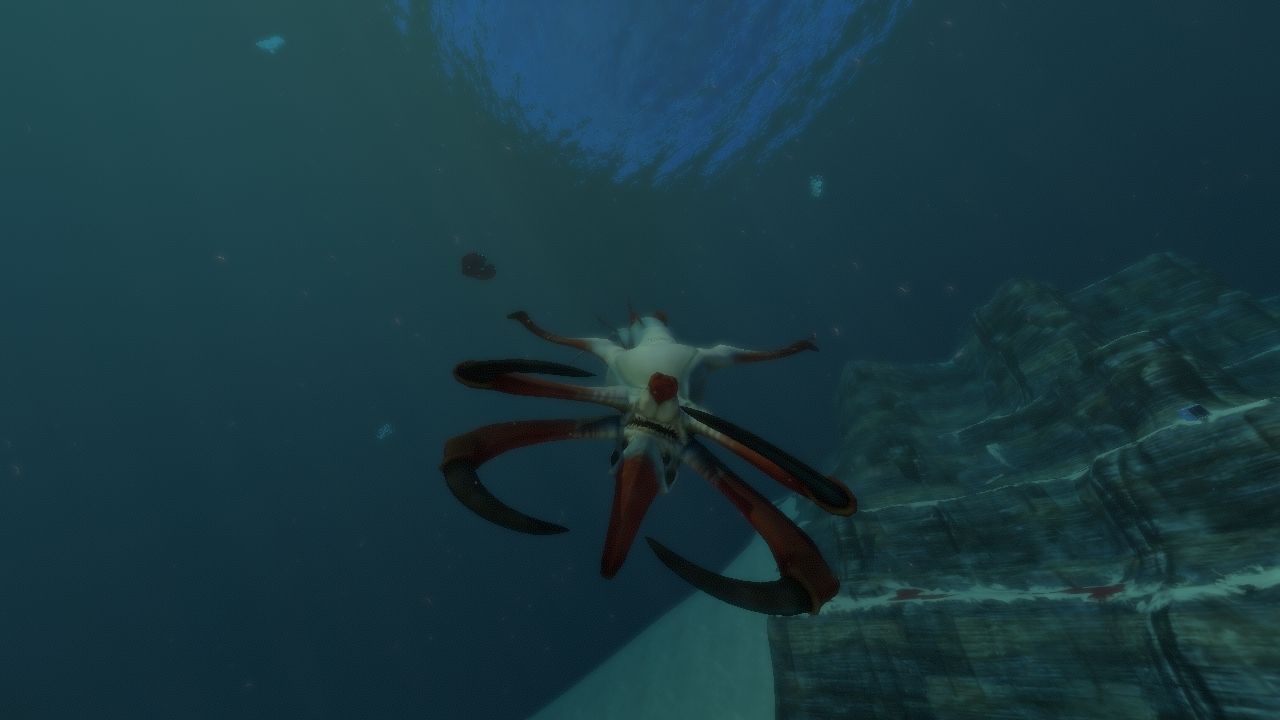 Fondale marino Subnautica con corallo, 1920x1080 Full HD 1080p, Desktop