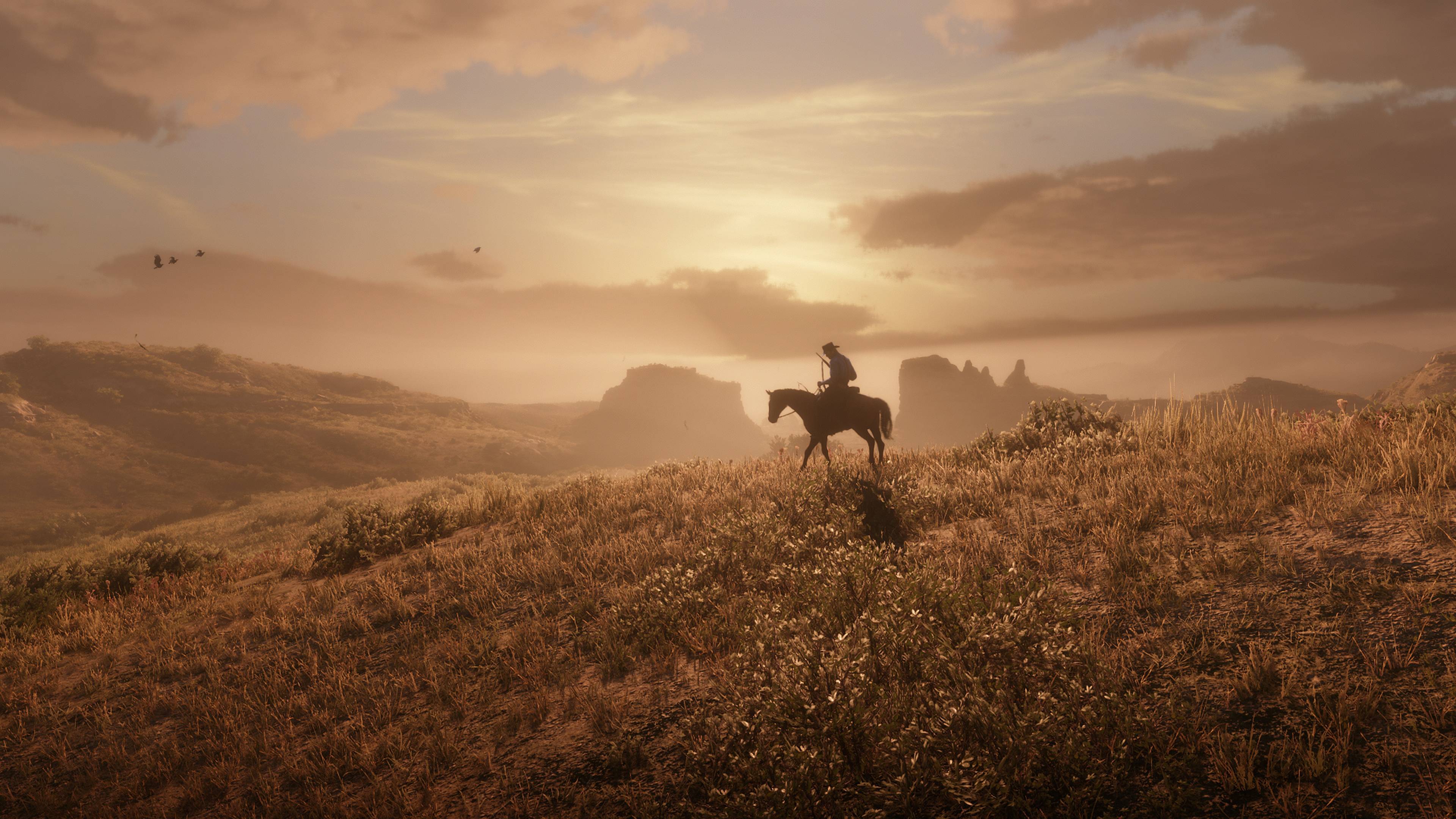 Cavaliere Red Dead Redemption 2, 3840x2160 4K Ultra HD, Monitor 4K