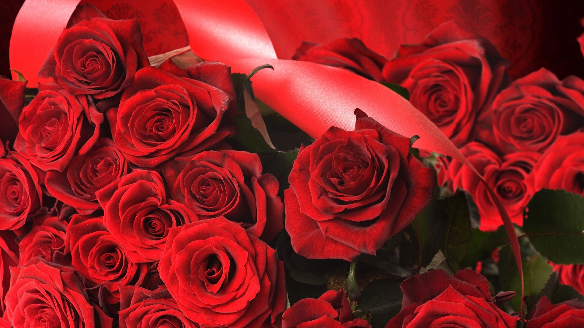 Rose rosse con nastro, 1920x1080 1080p, Desktop