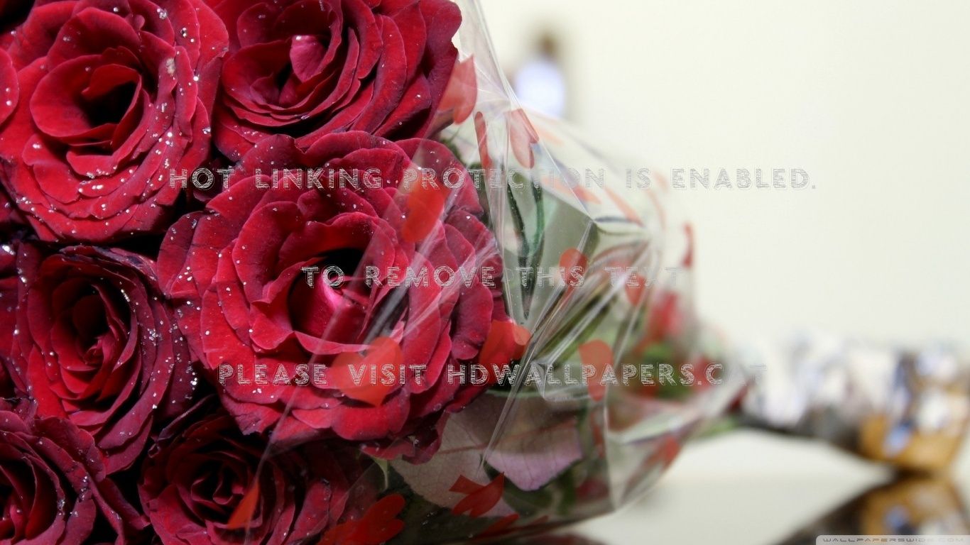 Bouquet di rose rosse, 1366x768 720p, Monitor Gaming