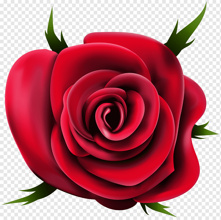 Rosa rossa illustrazione, 920x915 HD, PC