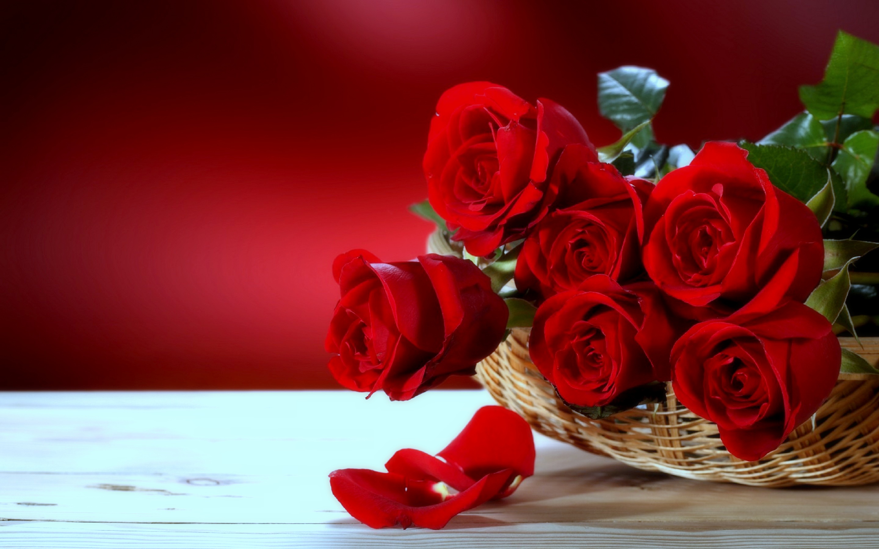 Rose rosse in cesto, 2880x1800 WQXGA, Monitor Gaming
