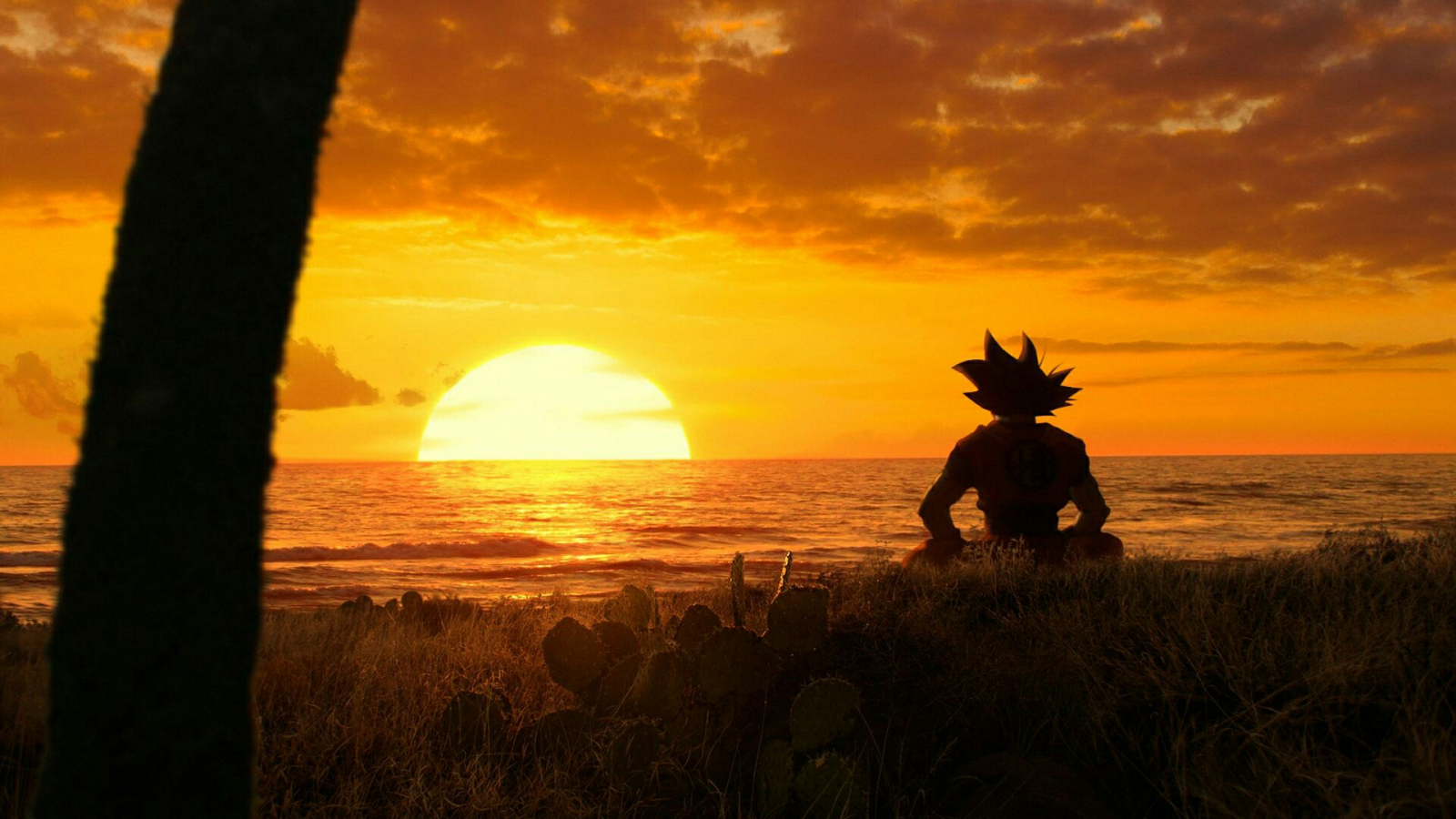 anime Goku spiaggia tramonto, 1600x900 HD, PC Desktop