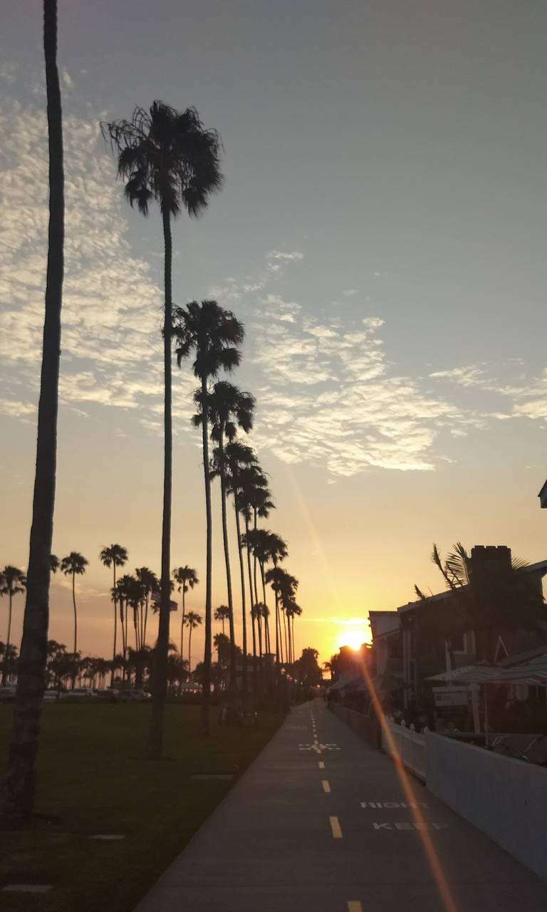 palme viale tramonto, 768x1280 Full HD Verticale, Realme