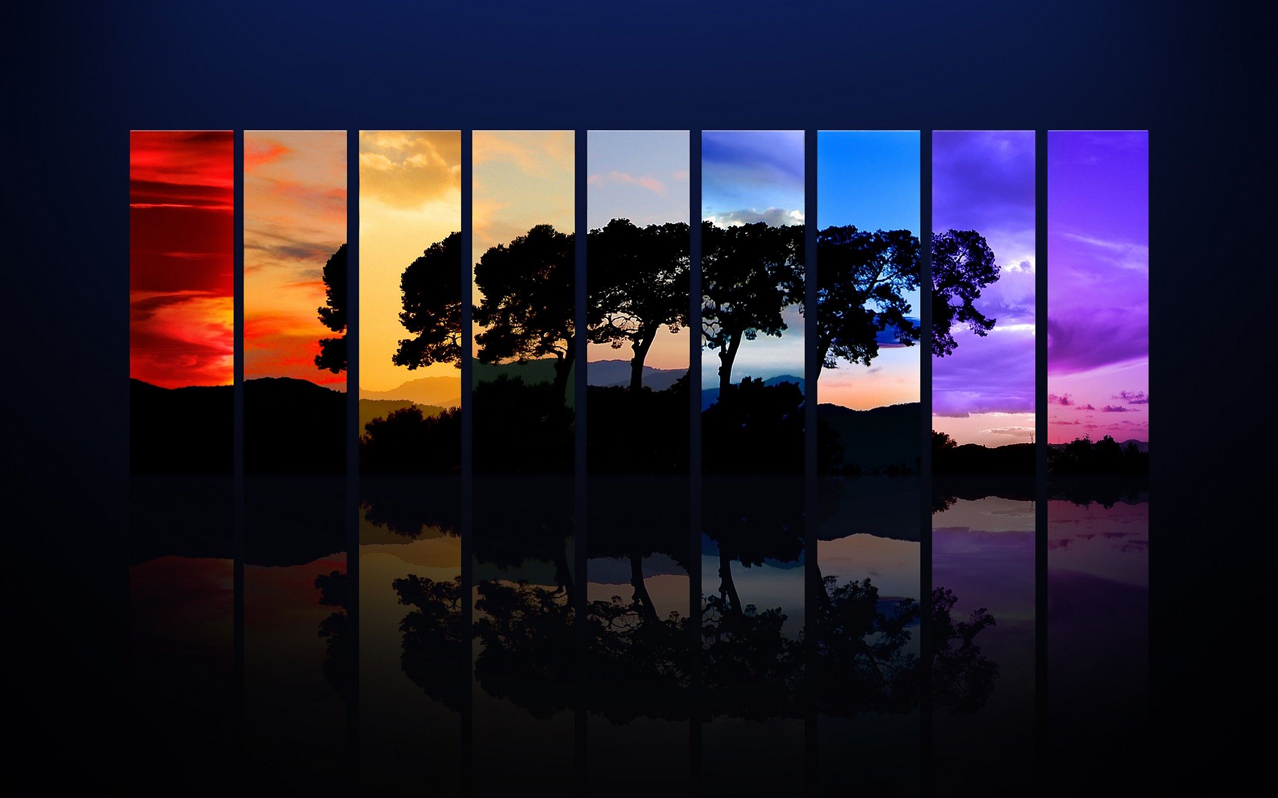 pannelli tramonto e alberi riflessi, sfondi per Desktop, 2560x1600 WQXGA, PC Desktop