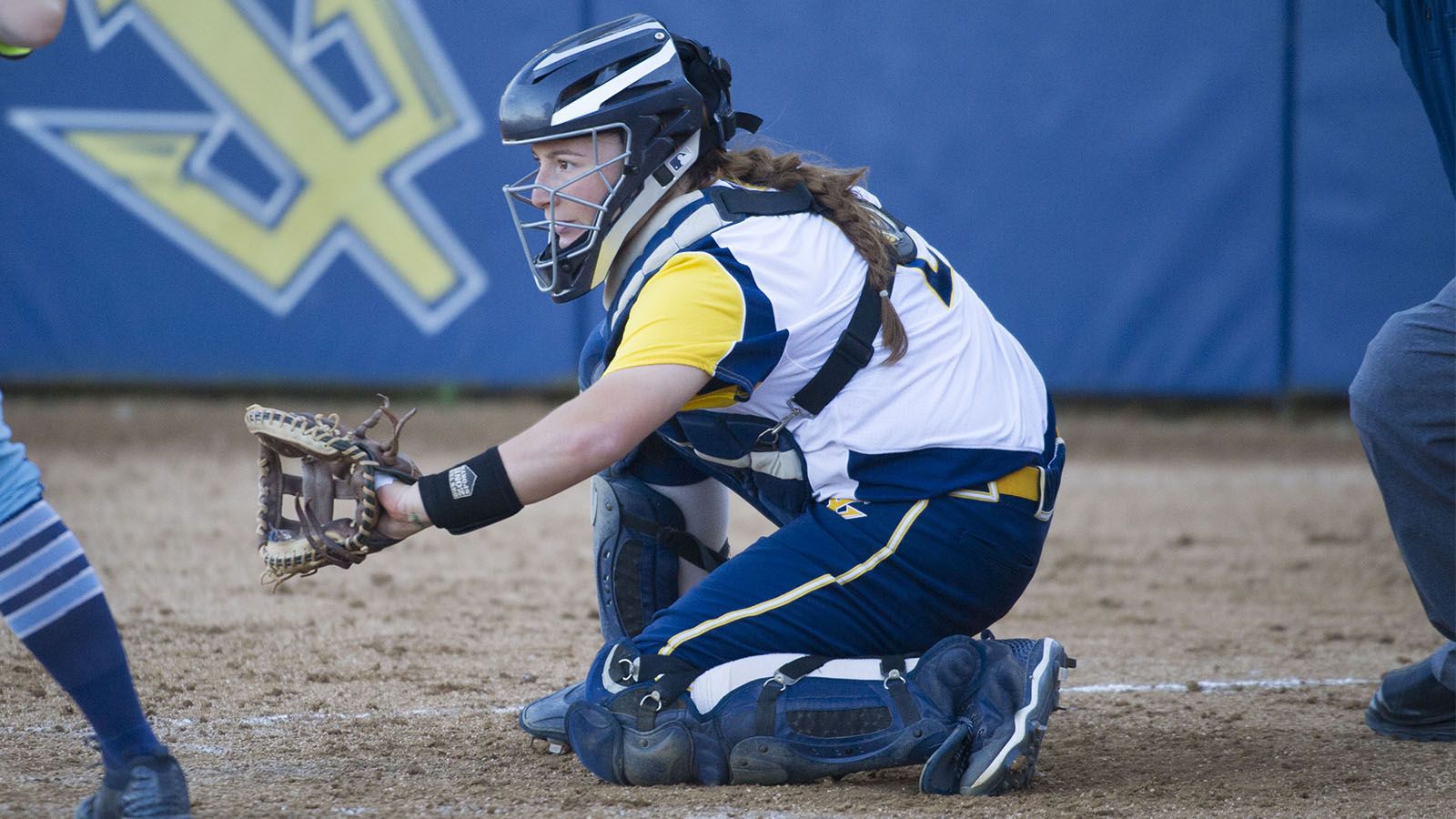 Ricevitore softball con guanto, 1600x900 900p, PC