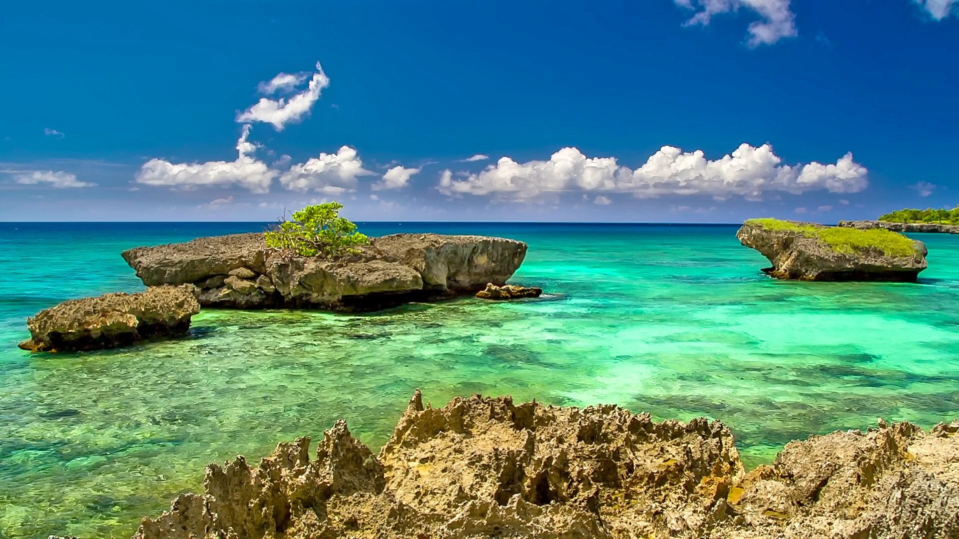 Spiaggia tropicale luna piena, 1920x1080 Full HD, PC