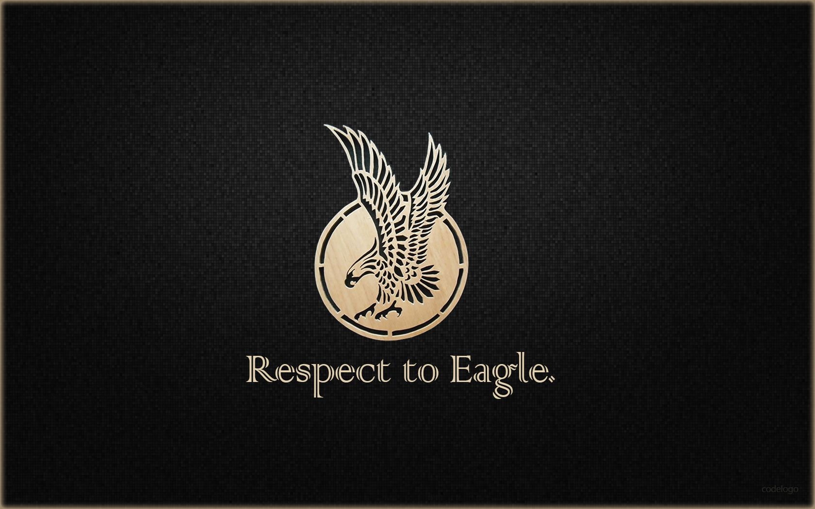 Aquila dorata su nero, 1680x1050 HD Ready, Desktop