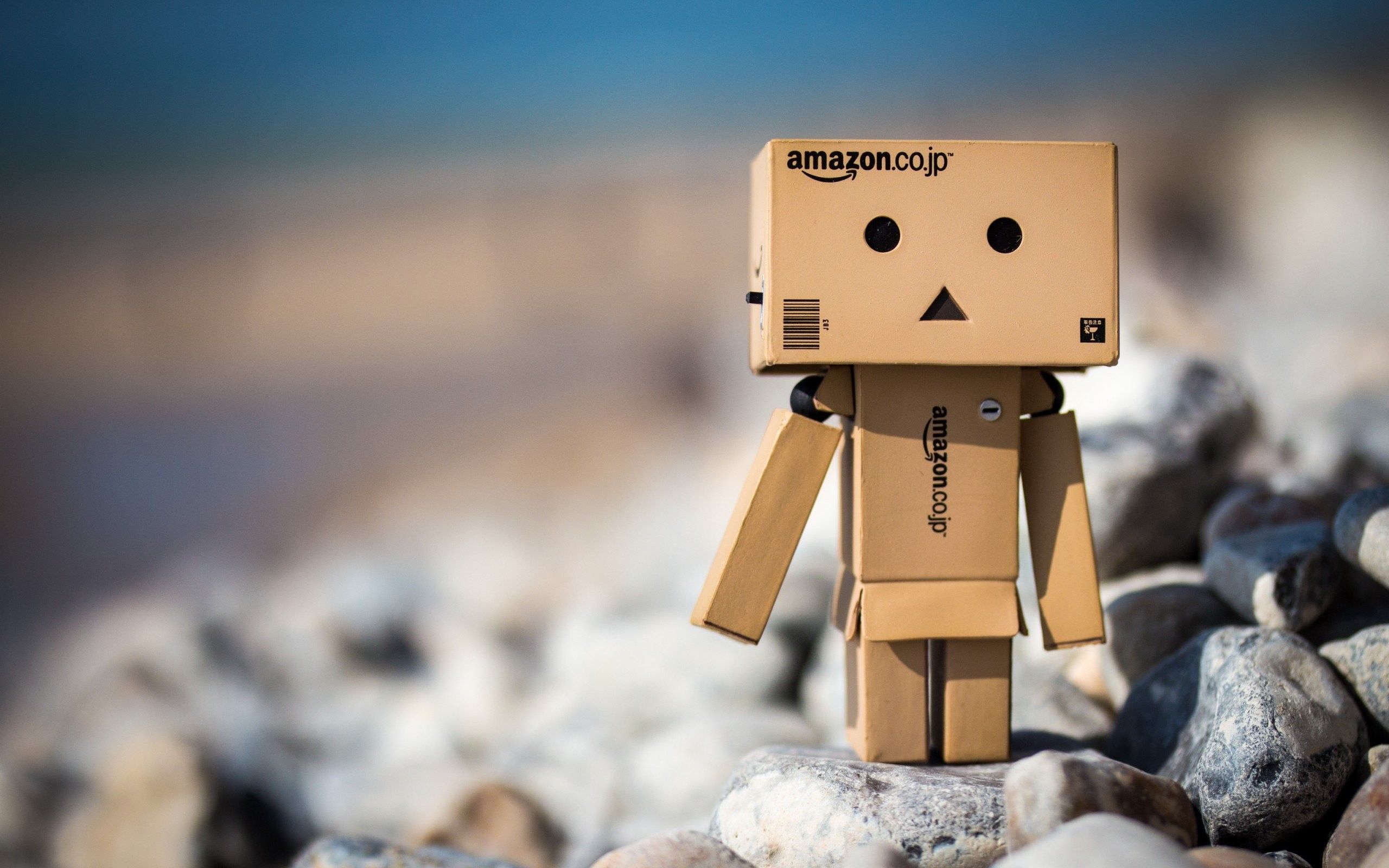 Danbo robot di cartone su ciottoli, 2560x1600 WQXGA, Laptop
