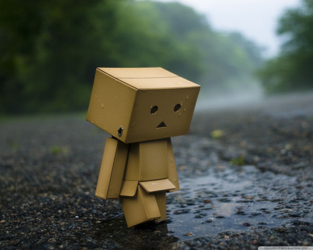 Danbo robot di cartone su strada, 1280x1024 HD, Desktop