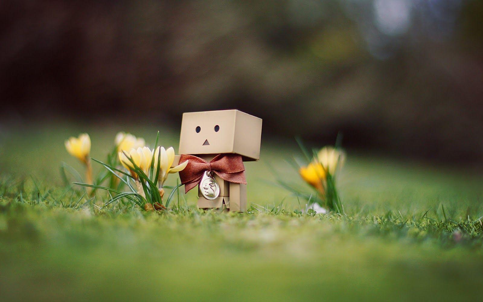 Danbo robot cartone nel prato, 1600x1000 900p, PC