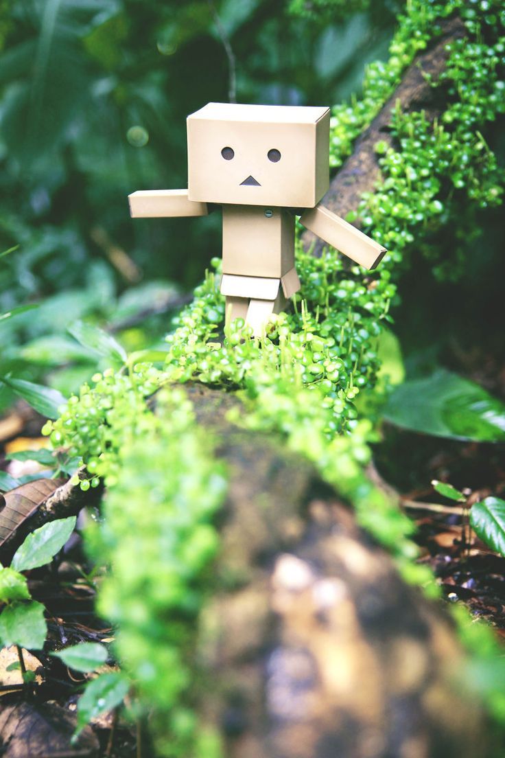 Danbo robot di cartone nel muschio, 736x1104 Verticale, Mobile