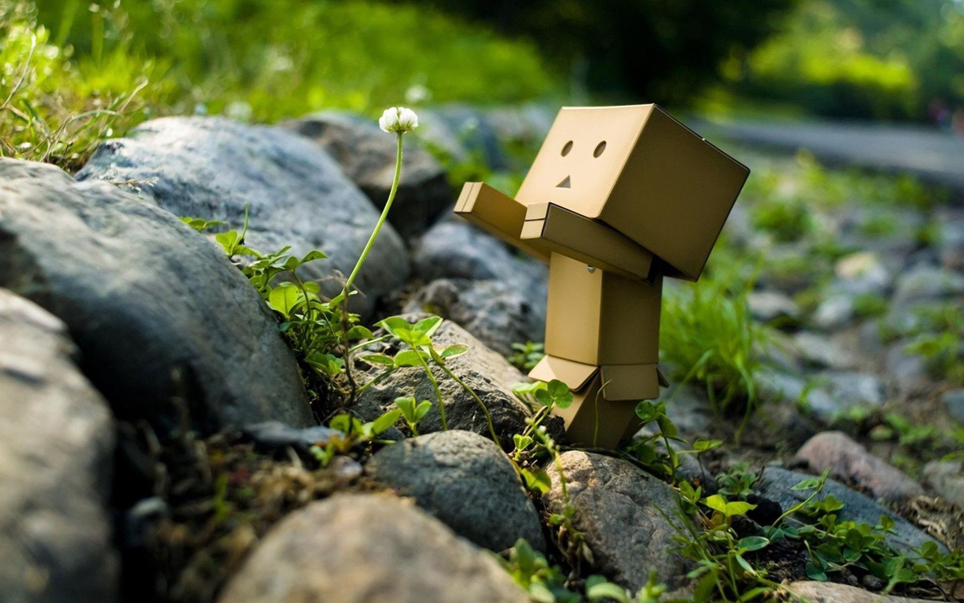 Danbo robot cartone fiore, 1920x1200 WUXGA, PC Desktop