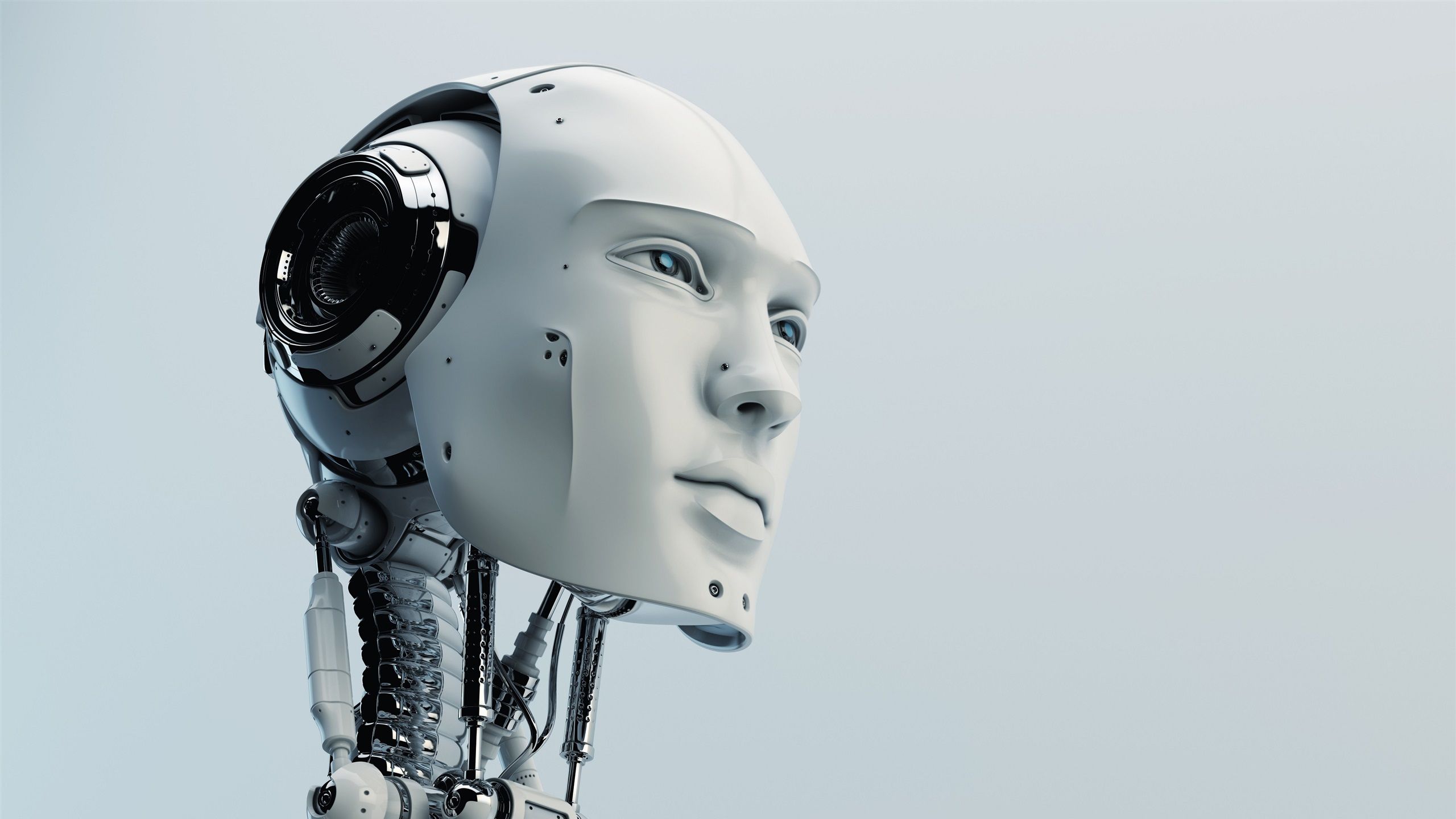 Testa robot umanoide bianco, 2560x1440 2K, Desktop