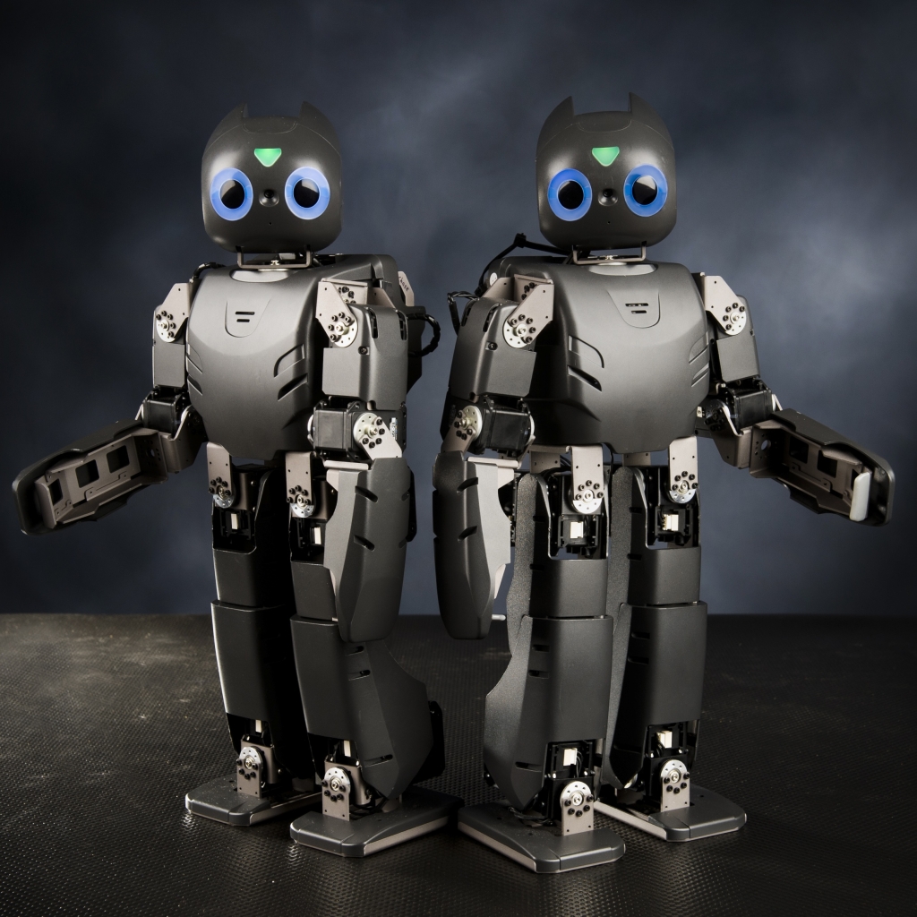 Due robot umanoidi neri DARwIn, 1024x1024 HD, Desktop
