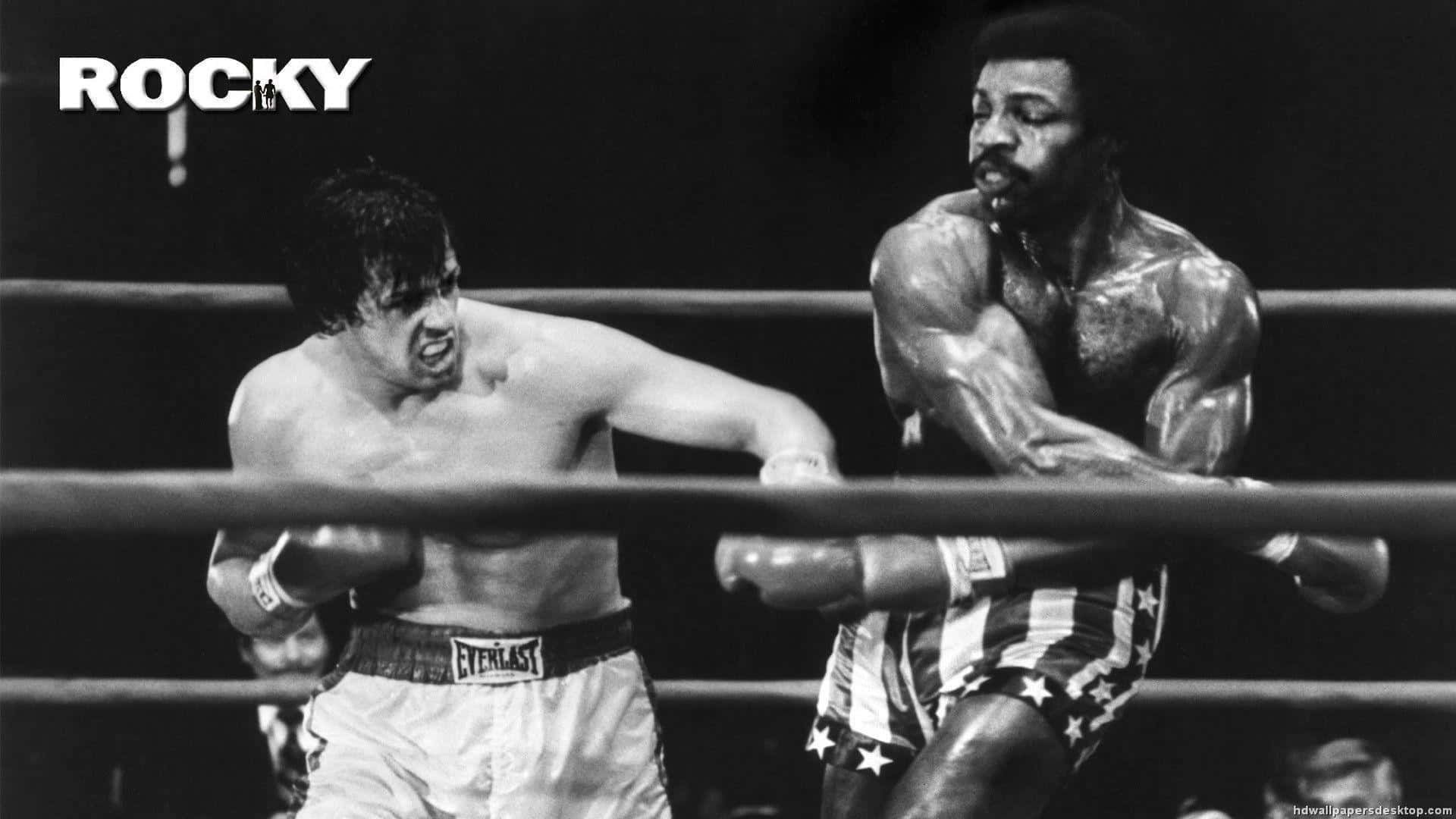 Rocky Balboa incontro pugilato bianco-nero, 1920x1080 Full HD 1080p, Desktop