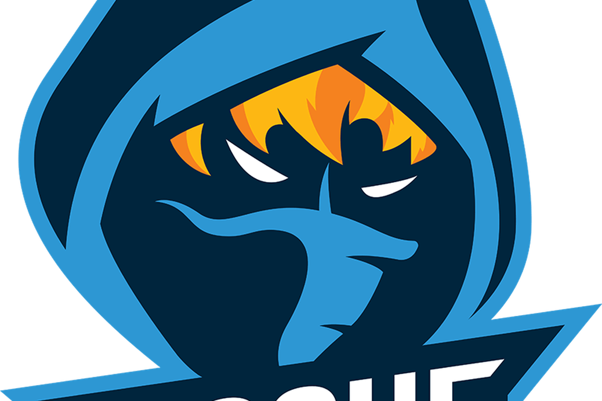 Logo Rogue eSports incappucciato, 1200x800 HD, Laptop