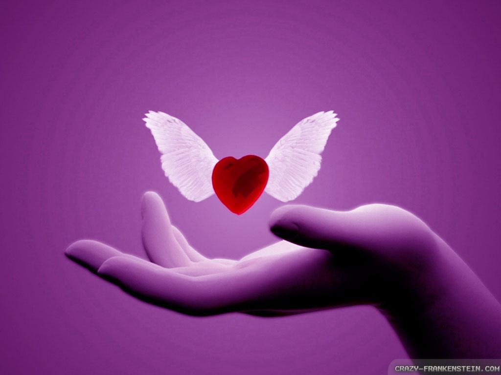 cuore alato su mano viola, 1024x768 HD, Desktop
