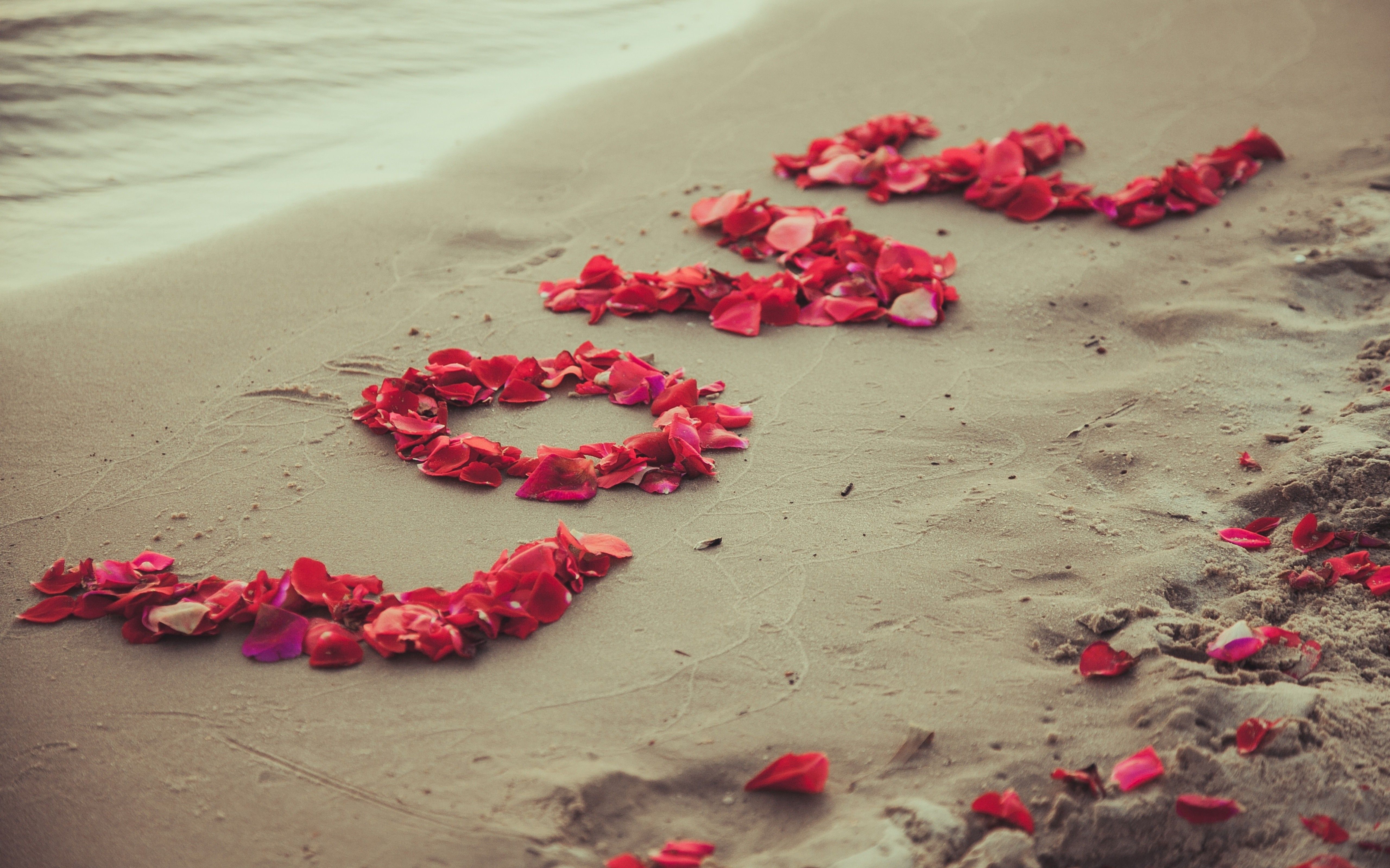 Petali rosa a cuore spiaggia, 5120x3200 UHD, Monitor 4K