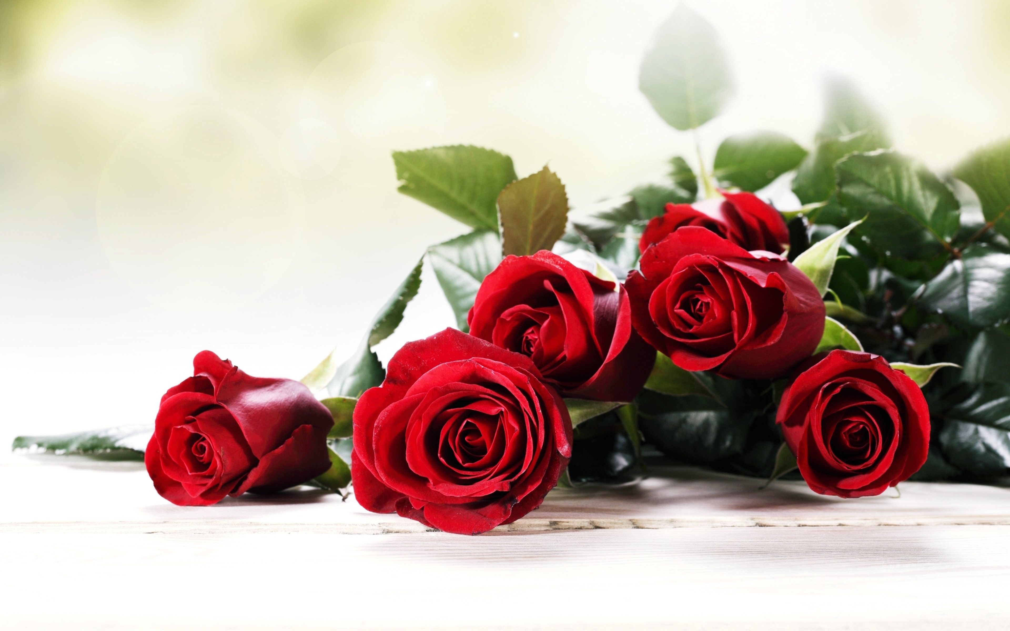 Mazzo di rose rosse, 3840x2400 Ultra HD, 4K TV