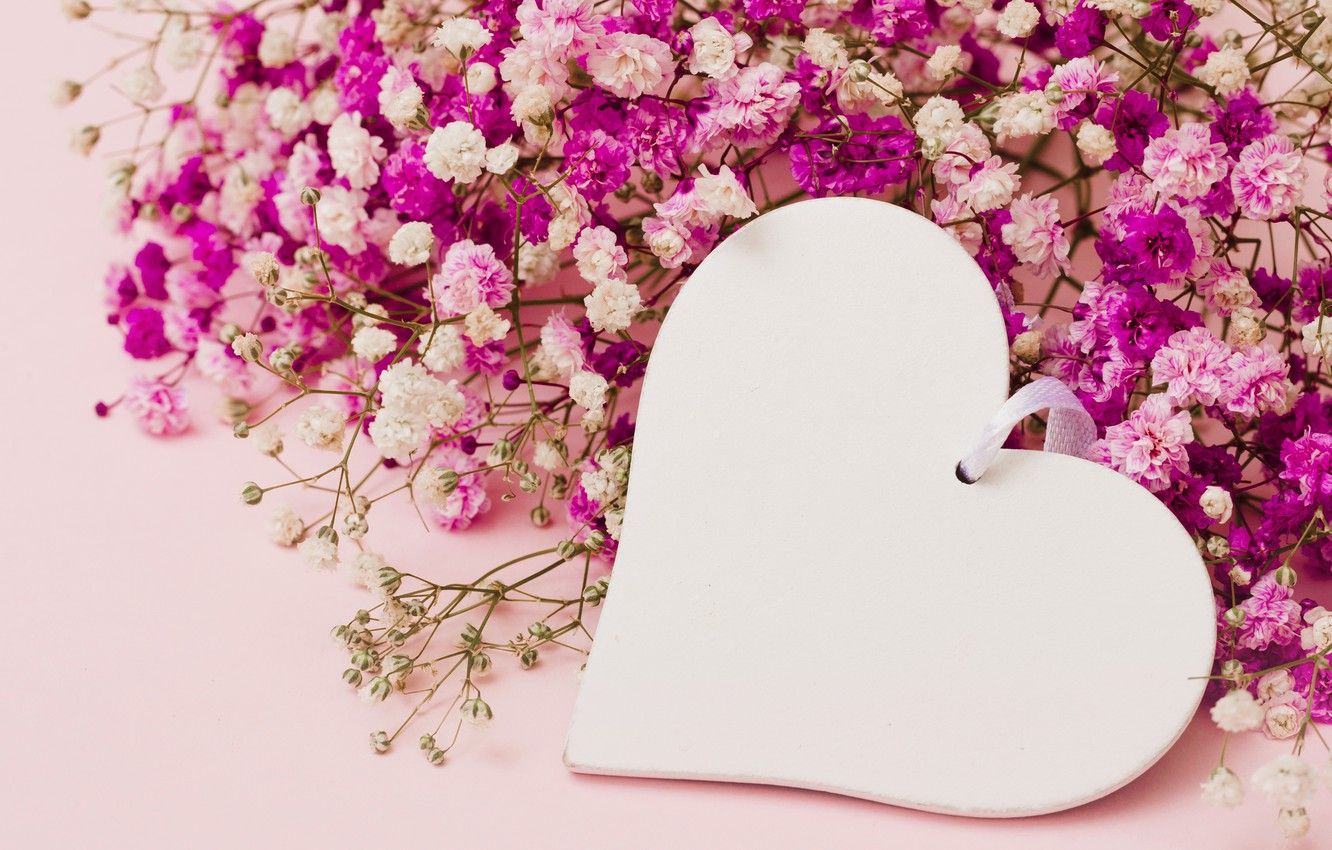 Cuore bianco con fiori rosa, 1332x850 720p, Acer Nitro