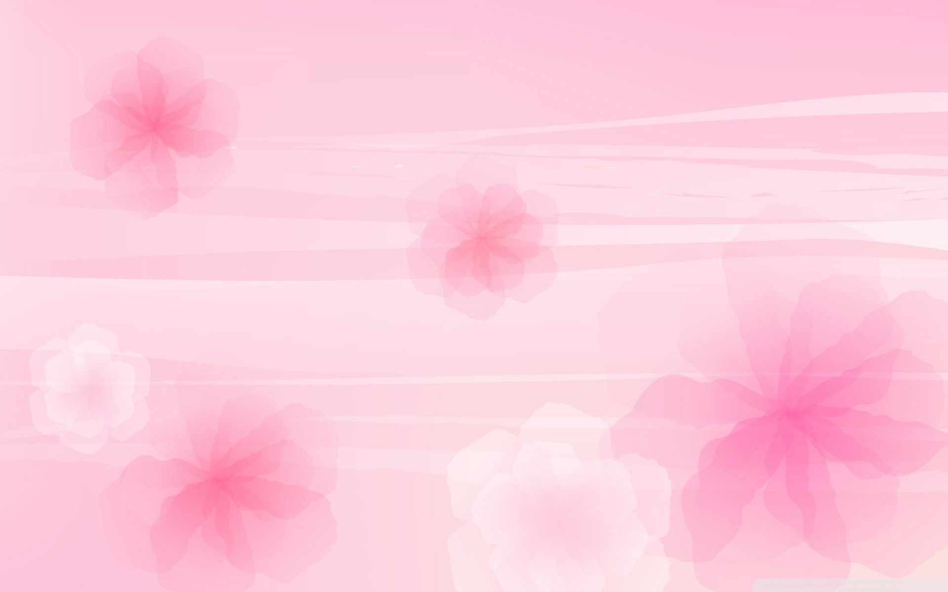 Fiori sfocati rosa acquerello, 1920x1200 WUXGA, PC Desktop