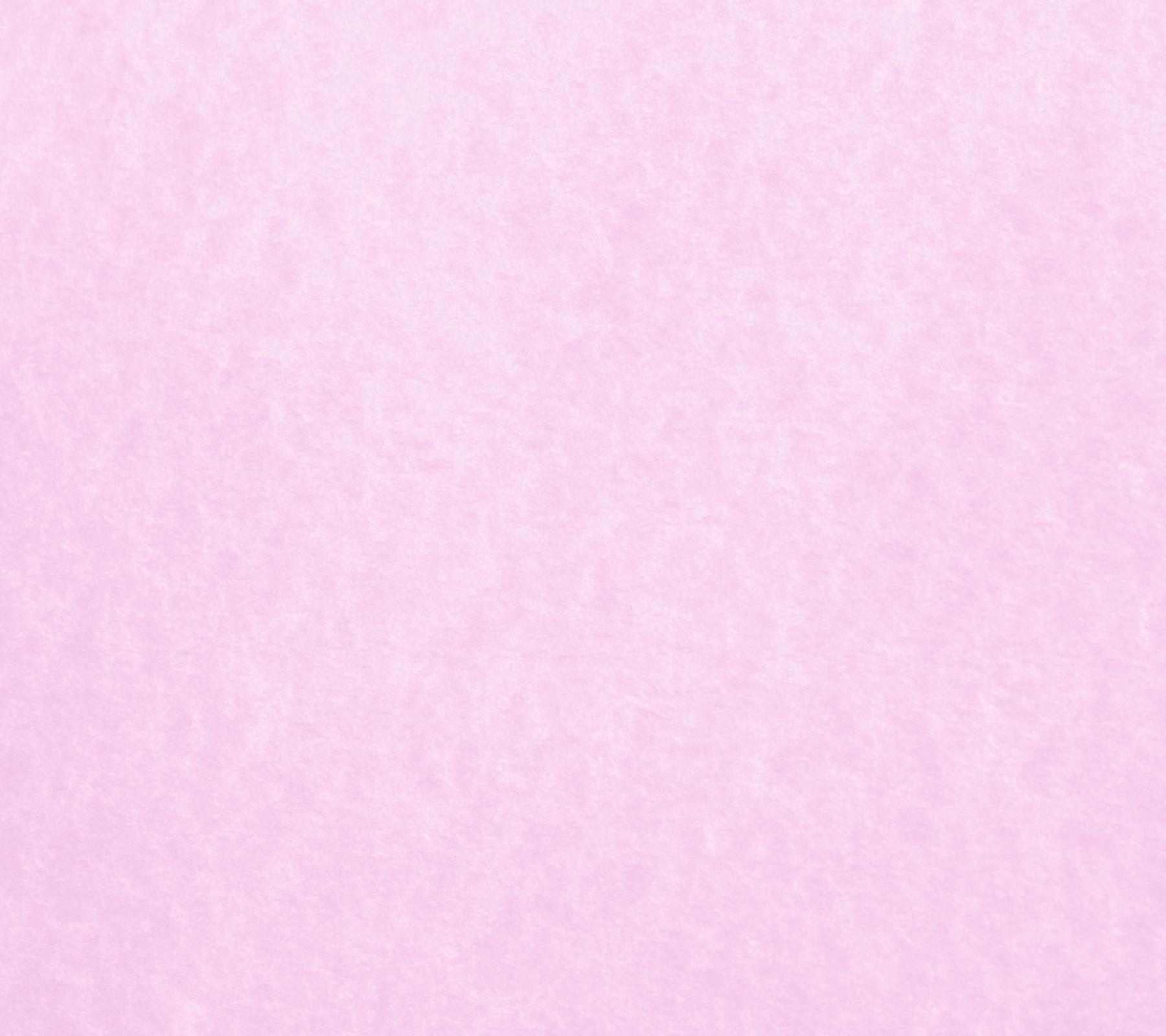 Rosa Chiaro per Desktop, 1800x1600 HD Ready, Desktop
