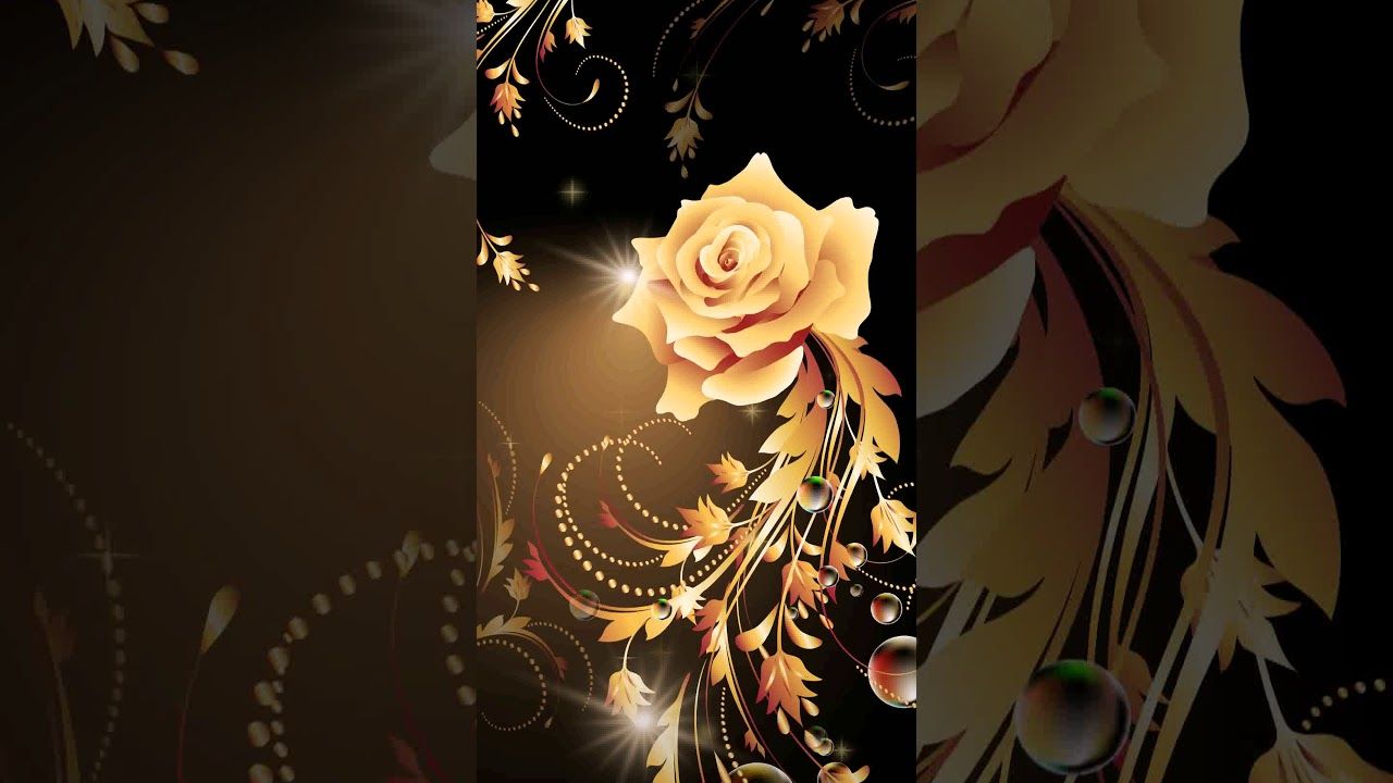 Rosa dorata su nero, 1280x720 720p, Laptop