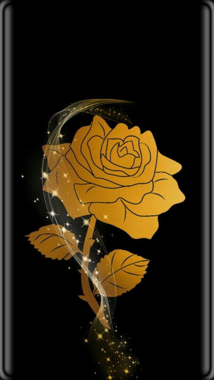 Rosa dorata sfondo nero, 720x1280 Full HD Verticale, Smartphone