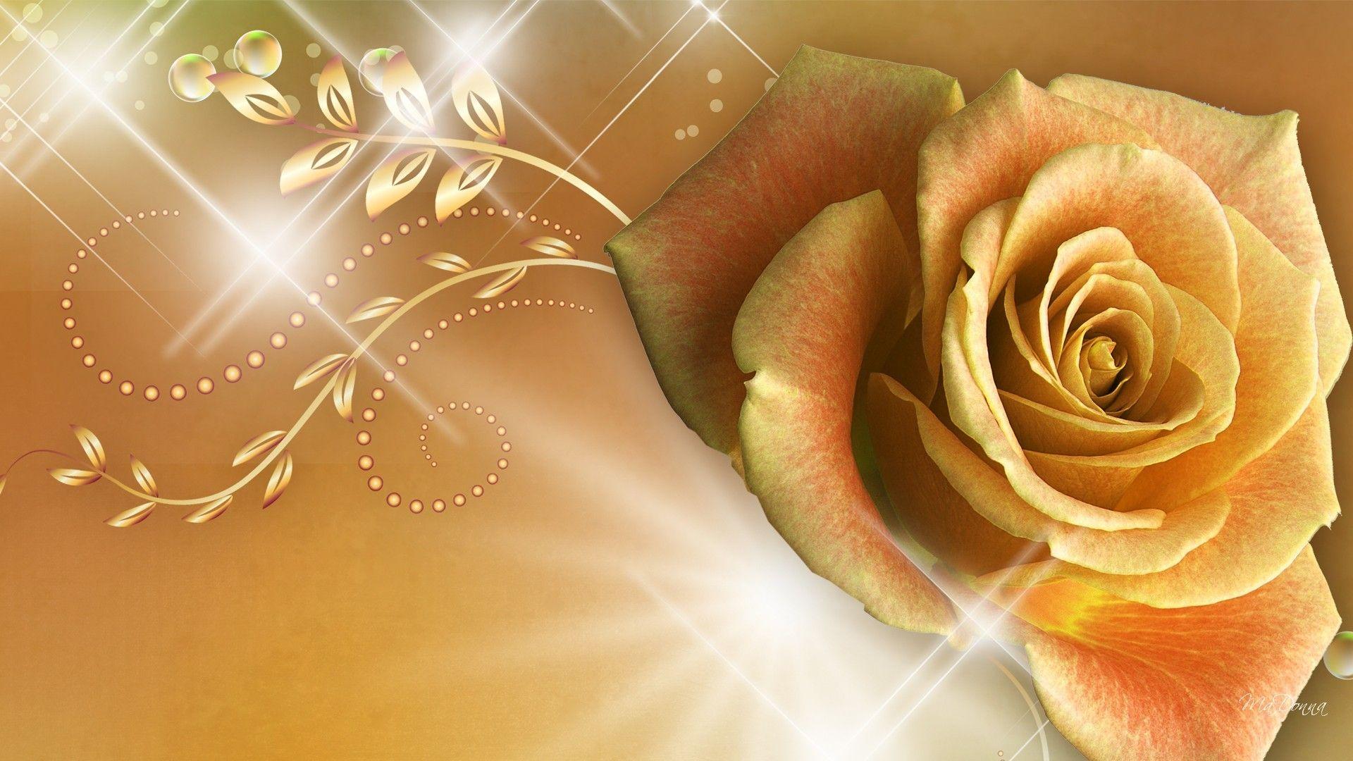 Rosa dorata con scintillii, 1920x1080 Full HD, PC