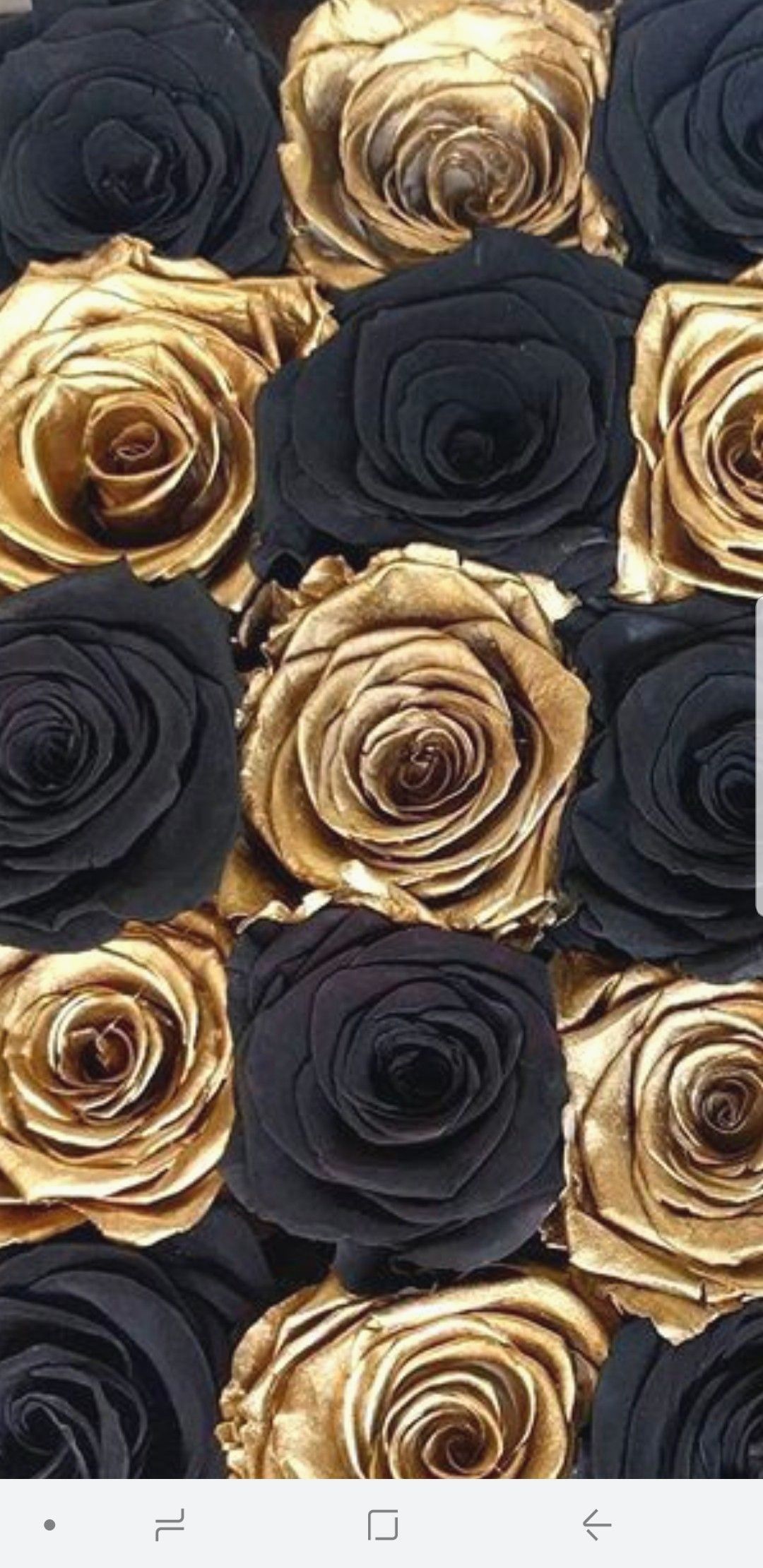 Rose nere e dorate, 1080x2220 Full HD Verticale, iPhone