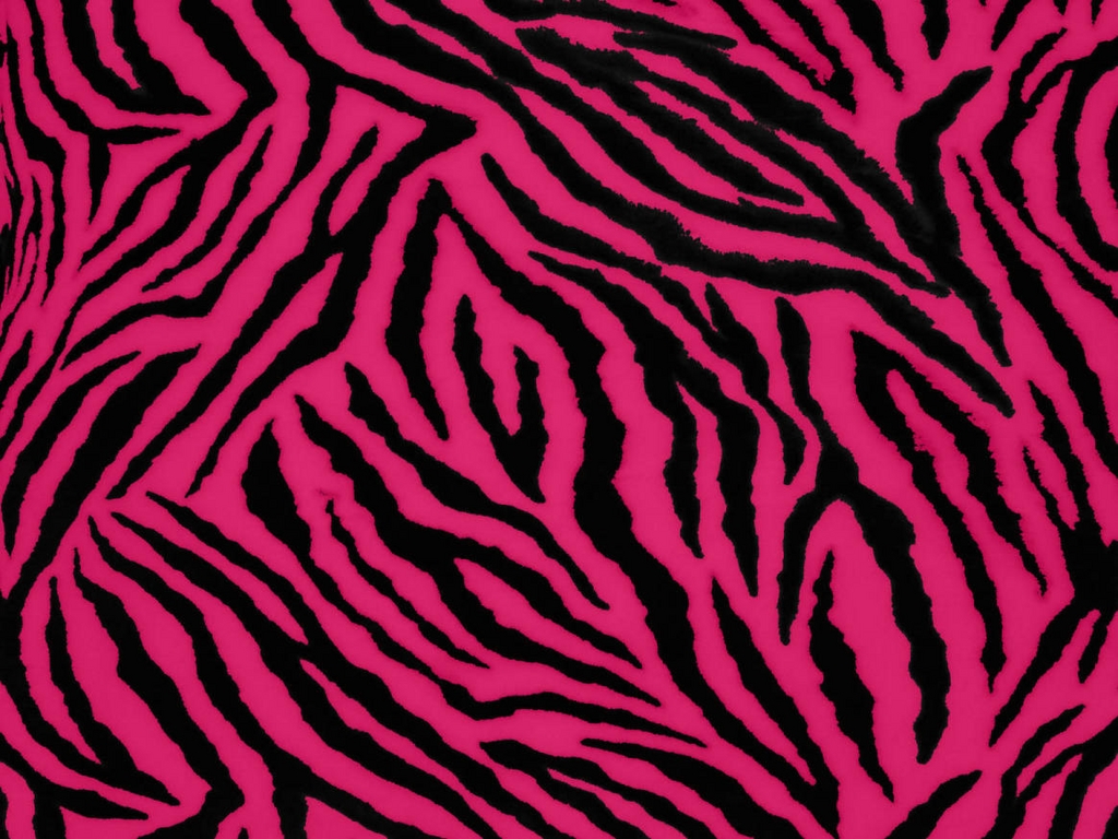 Stampa zebra rosa e nero, 1024x768 HD, Desktop