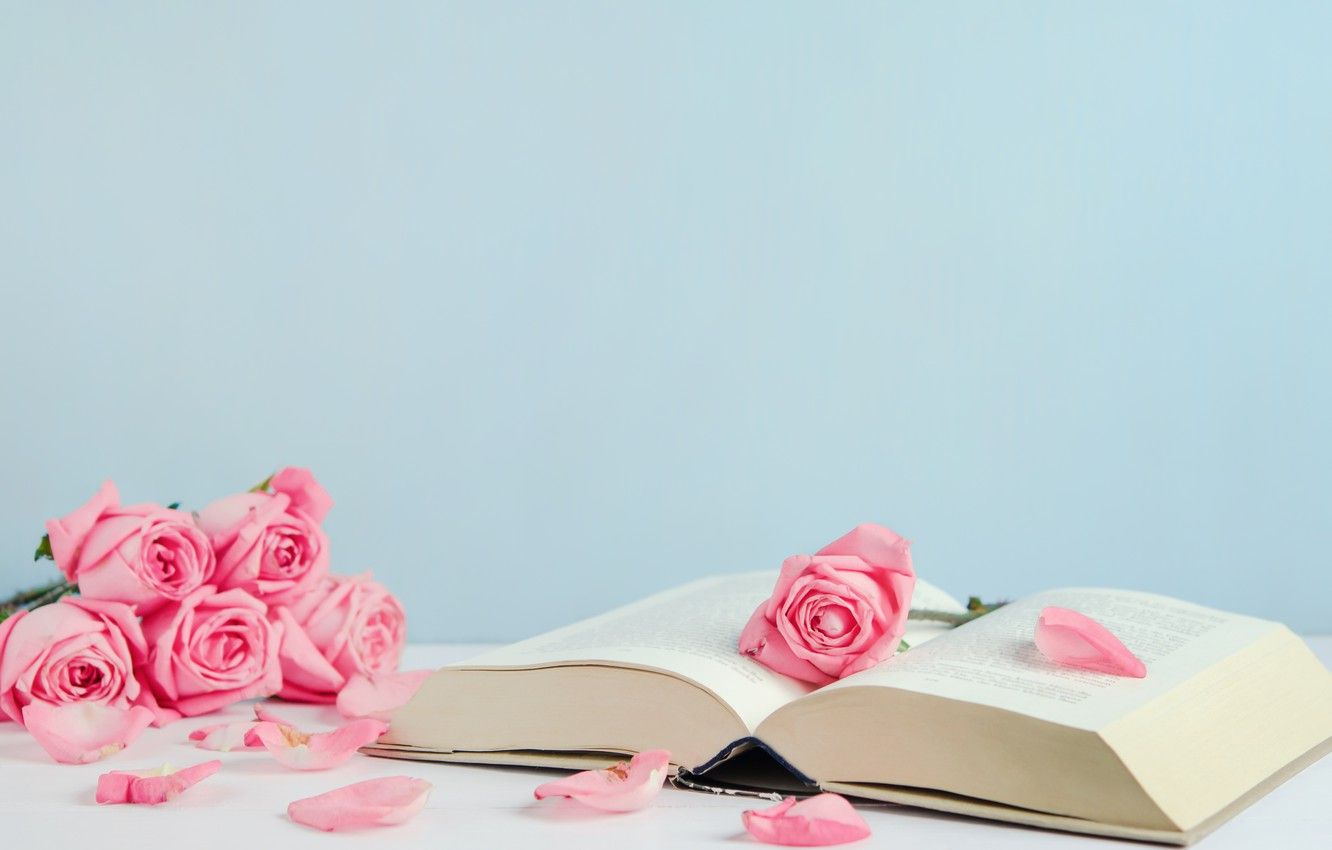 Rose rosa con libro aperto, 1332x850 HD, Desktop