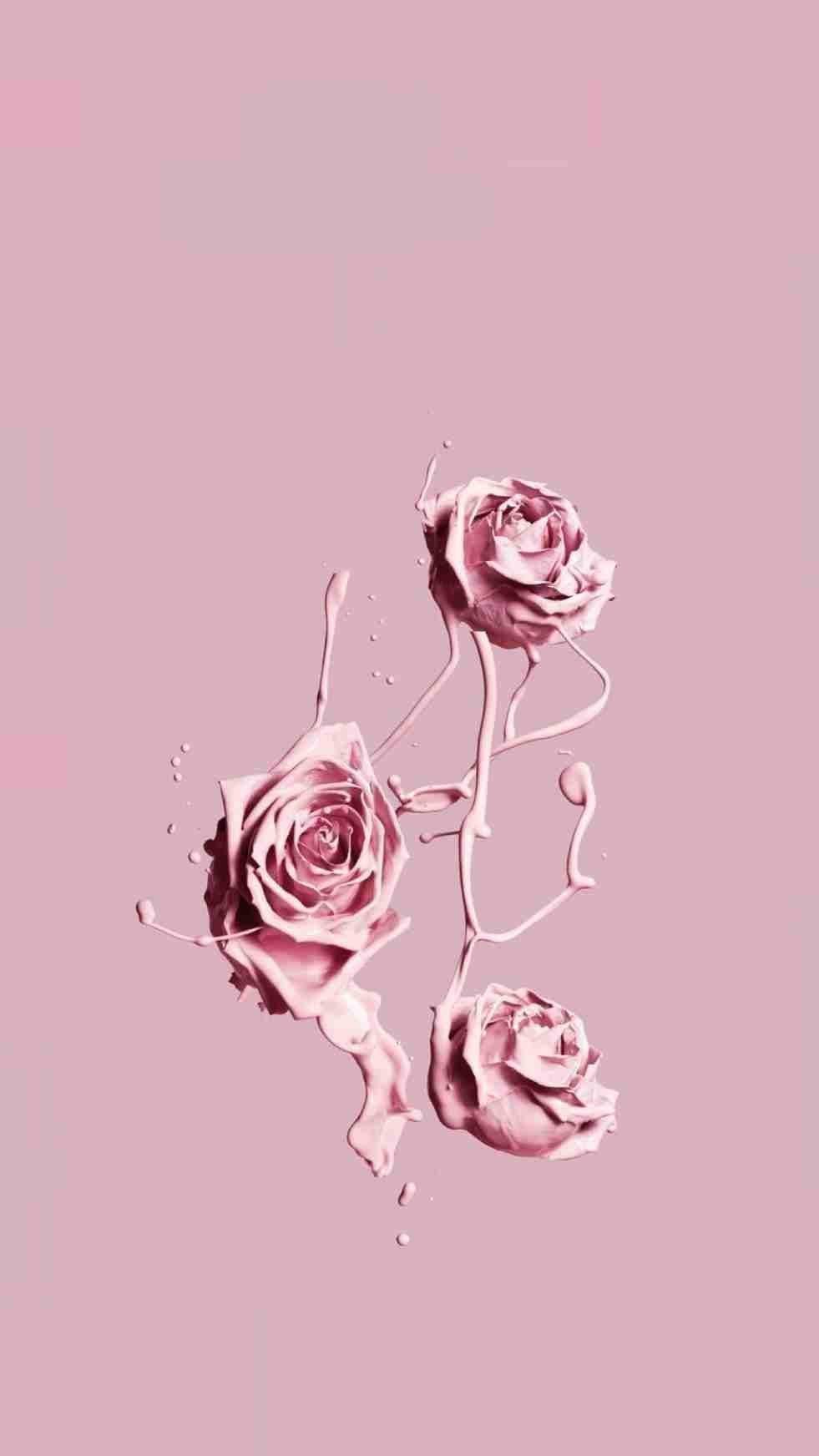 Rose rosa pastello disegnate, 981x1744 Full HD Verticale, iPhone