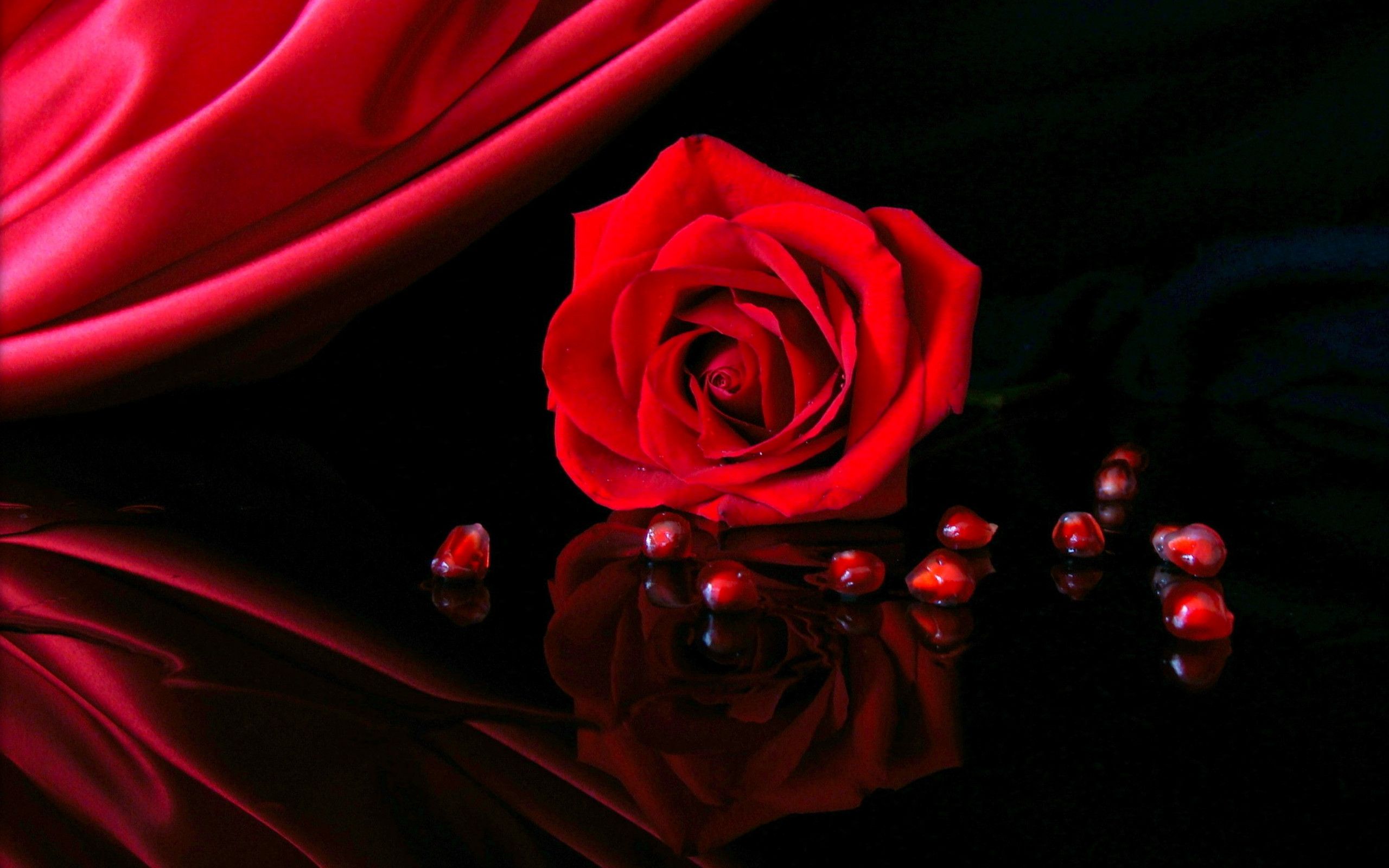 Rosa rossa con perle su riflesso, 2560x1600 2K, Desktop