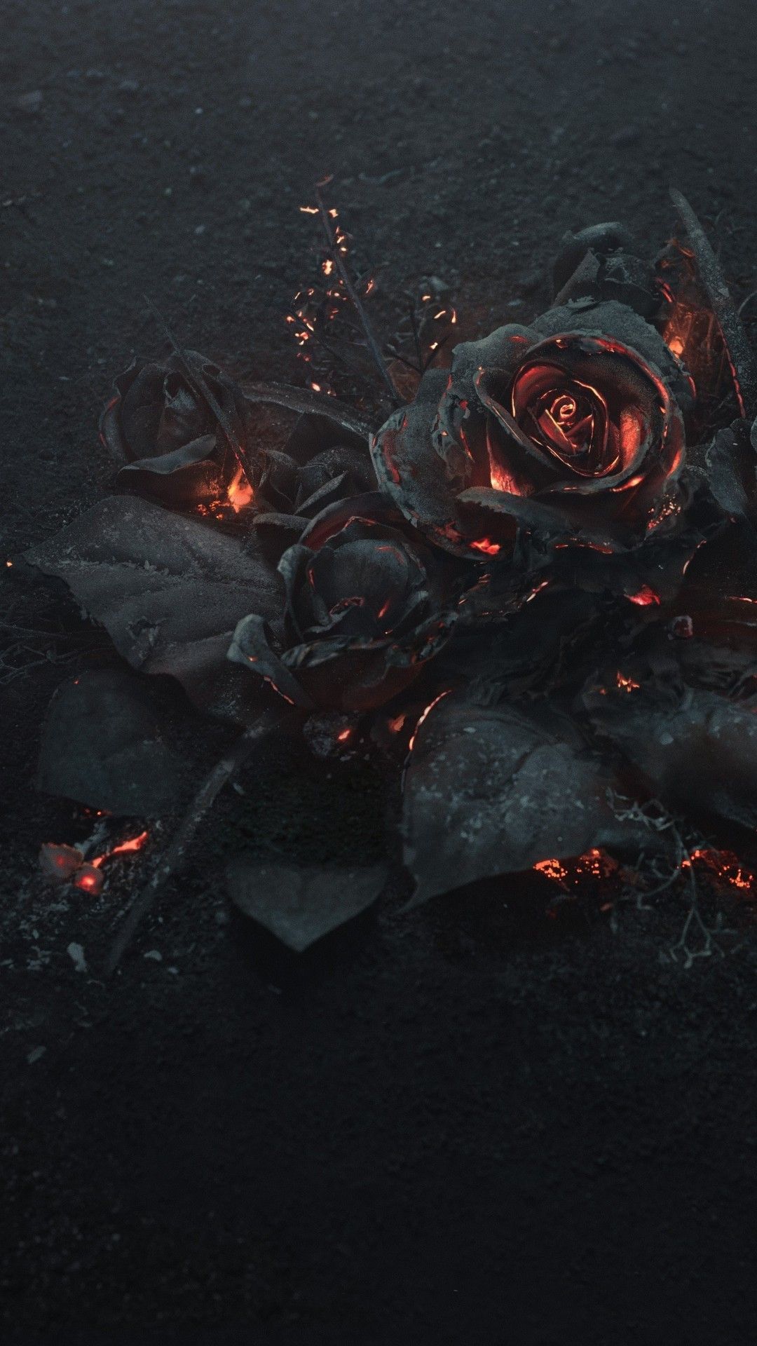 Rose nere brace incandescente, 1080x1920 Full HD Verticale, iPhone Pro