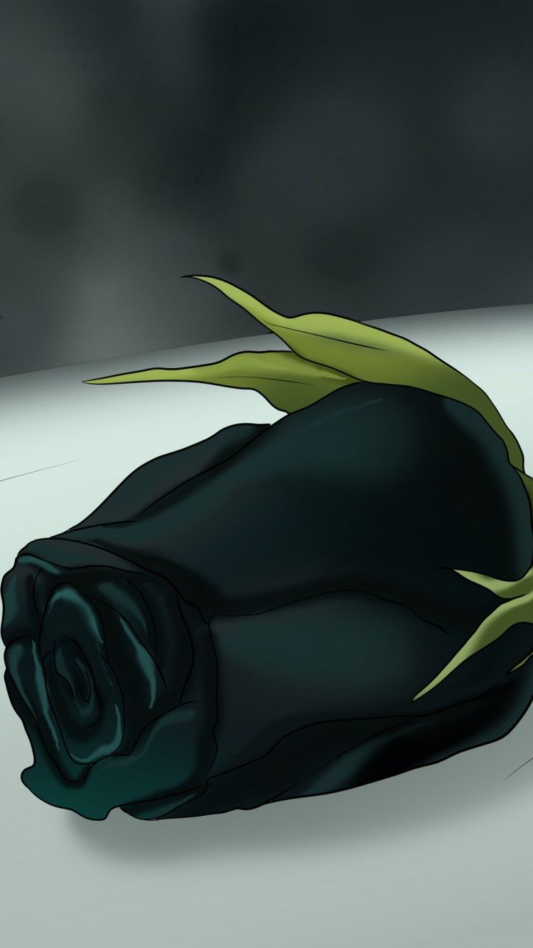 Rosa bianca su sfondo nero, 1280x1007 HD, Desktop